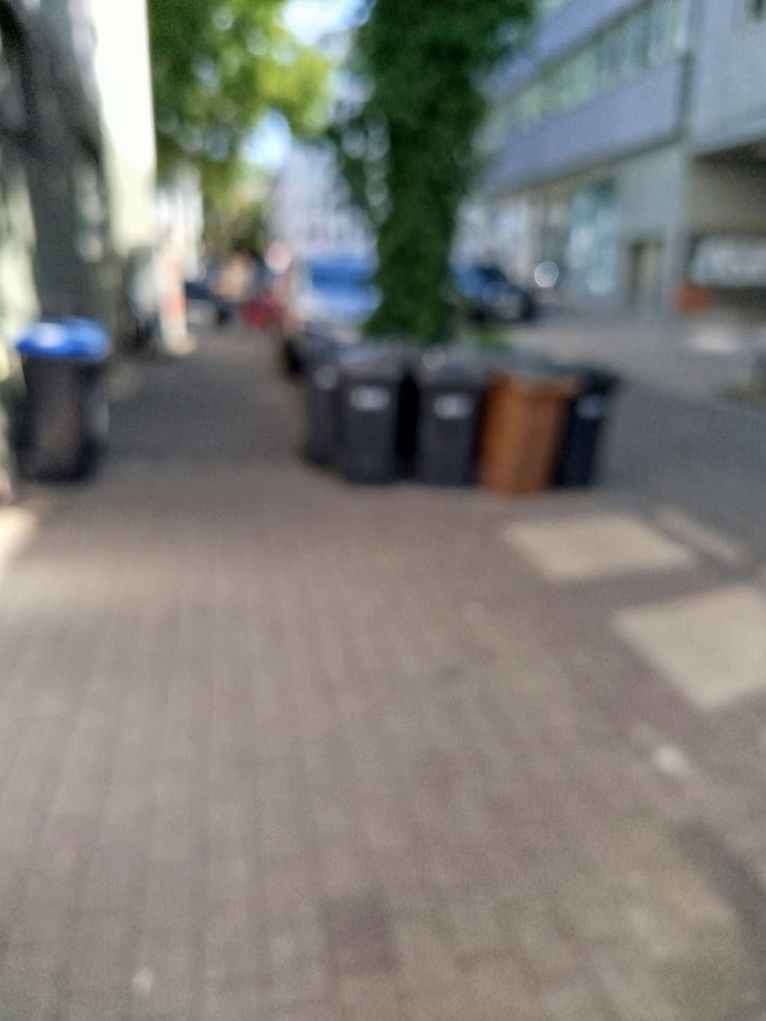Bild zu gemeldetem Anliegen vom *2025-08-21 12:04:20