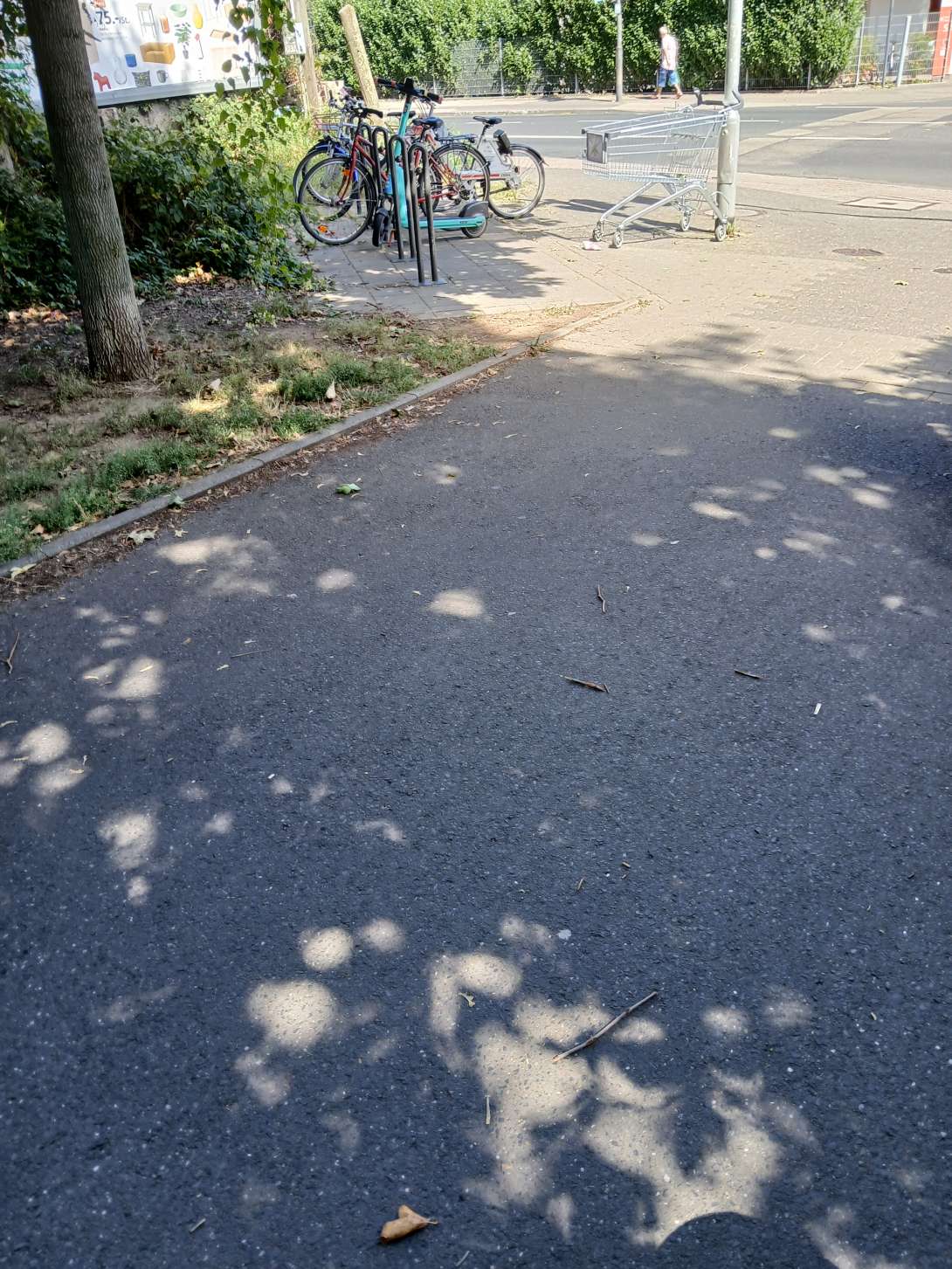 Bild zu gemeldetem Anliegen vom *2025-08-18 16:25:26