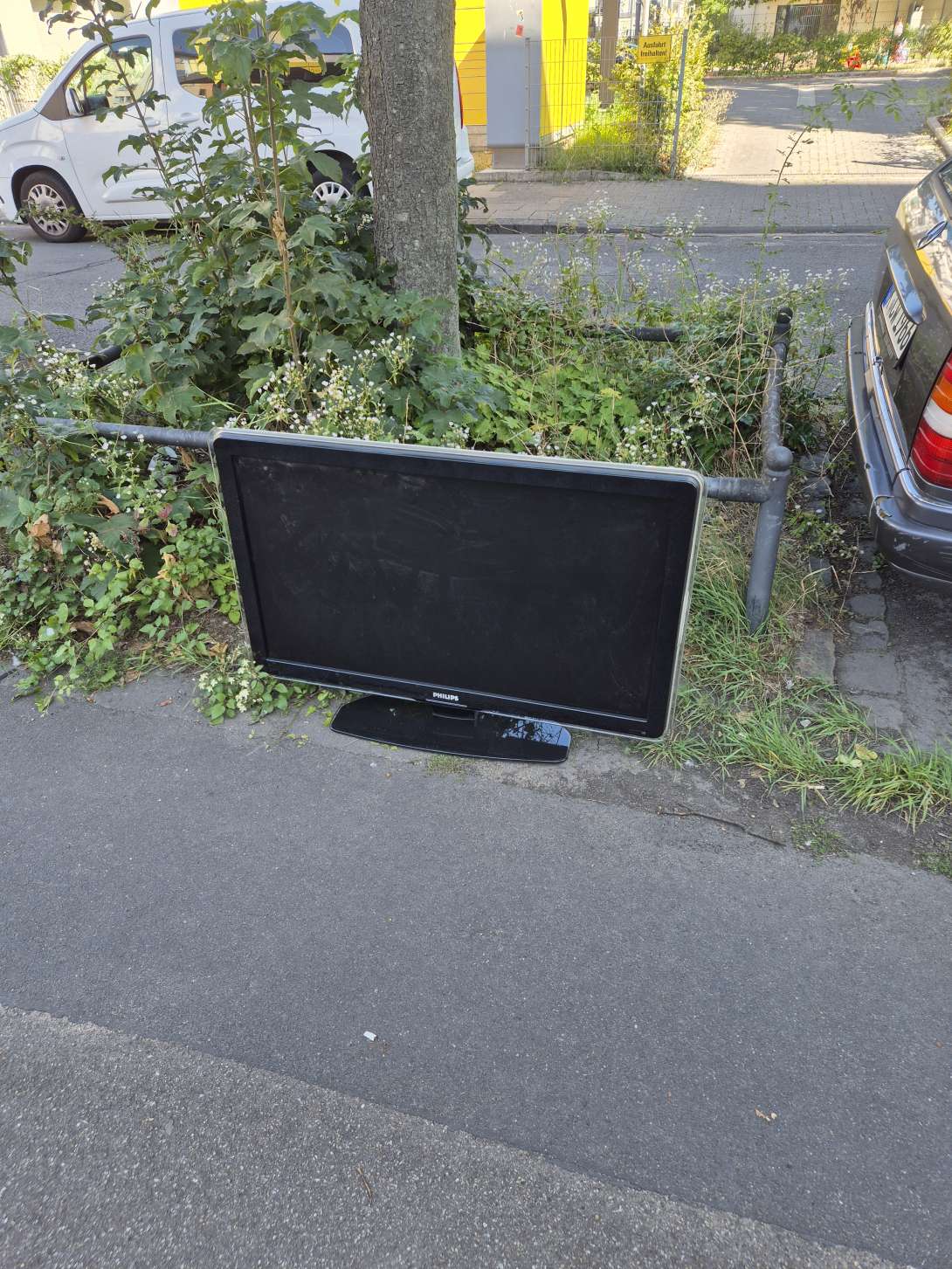 Bild zu gemeldetem Anliegen vom *2025-08-11 10:42:13