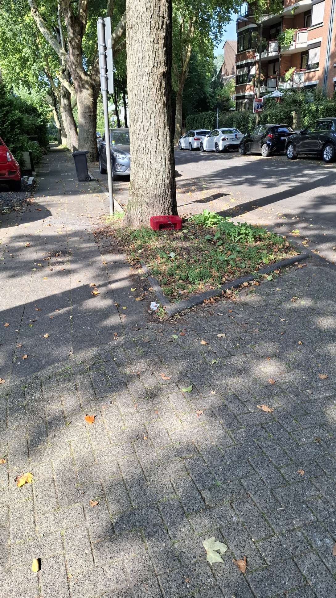 Bild zu gemeldetem Anliegen vom *2025-08-15 20:06:38