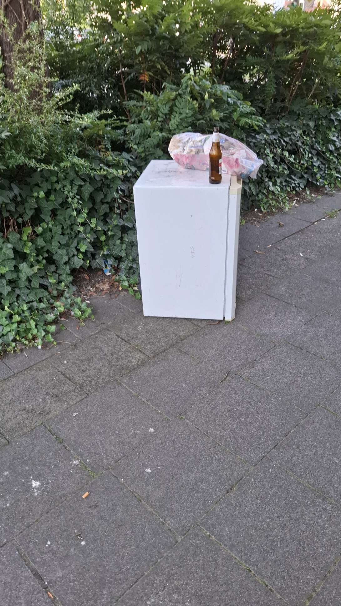 Bild zu gemeldetem Anliegen vom *2025-08-15 20:12:08