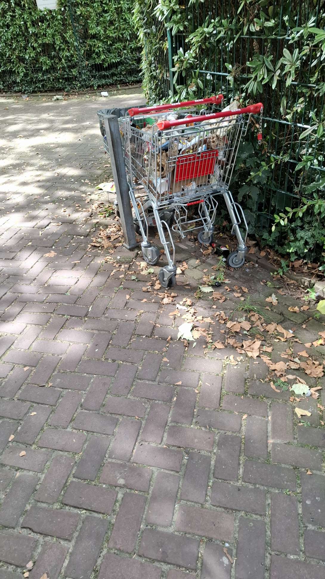Bild zu gemeldetem Anliegen vom *2025-08-26 09:59:11