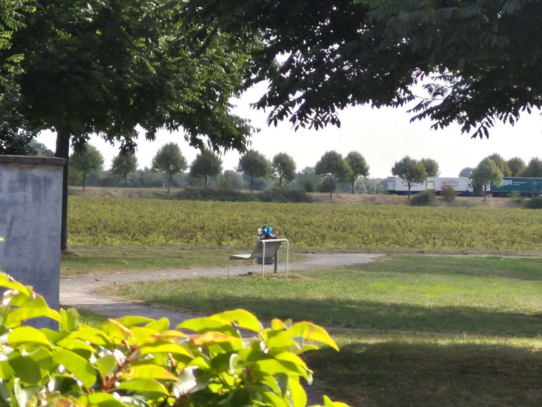 Bild zu gemeldetem Anliegen vom *2025-08-27 11:09:54