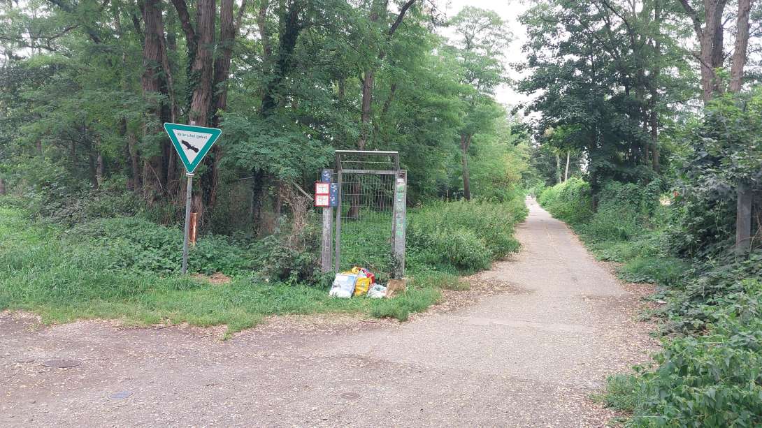 Bild zu gemeldetem Anliegen vom *2025-08-17 17:14:58