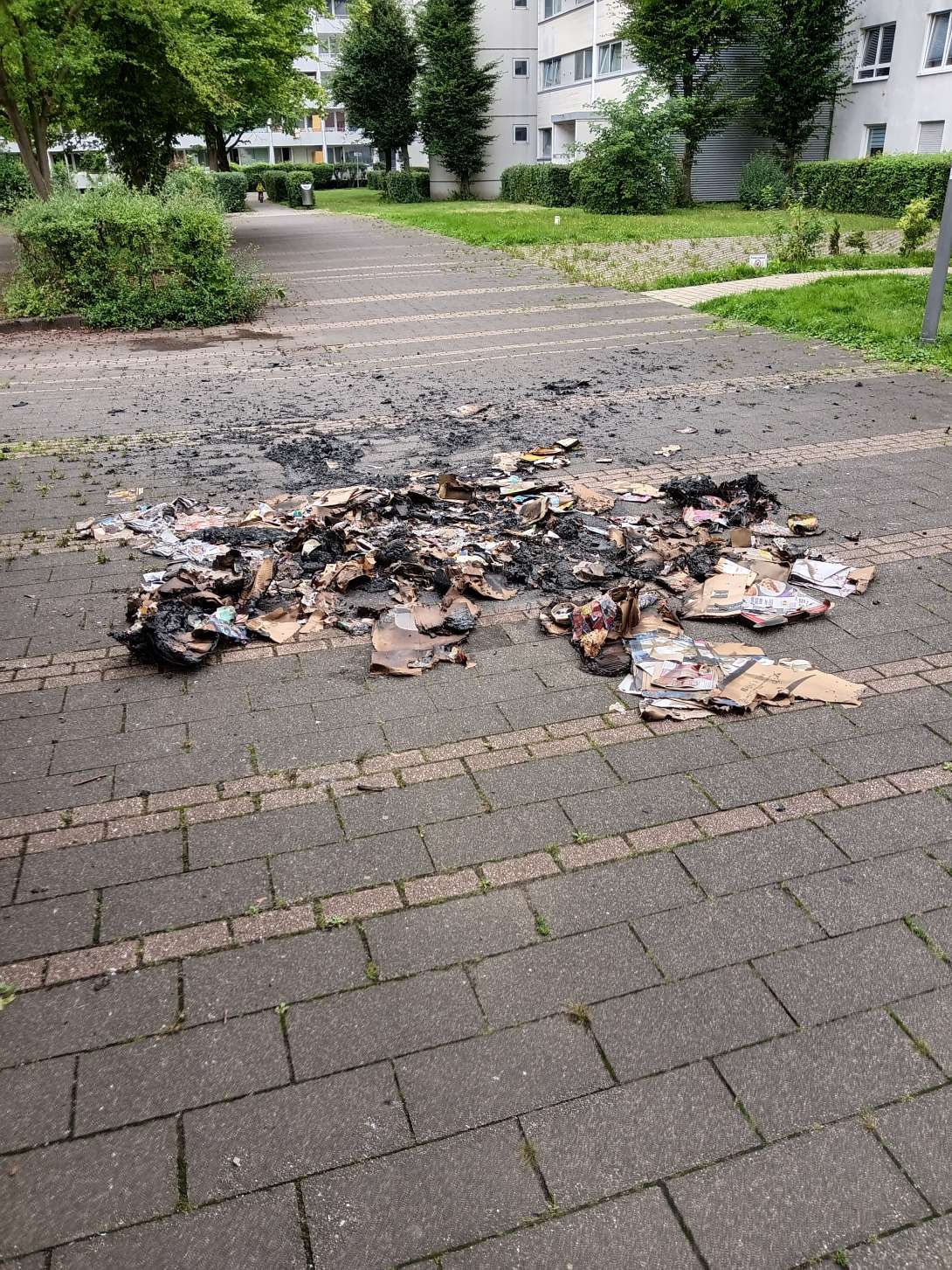 Bild zu gemeldetem Anliegen vom *2025-08-02 15:29:49