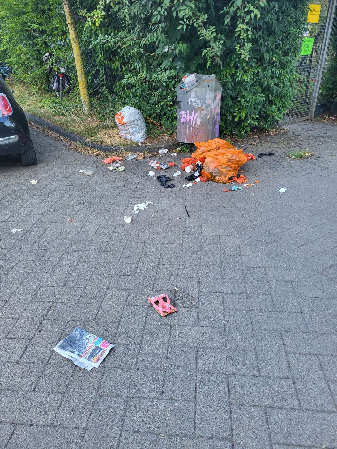Bild zu gemeldetem Anliegen vom *2025-08-19 10:07:07