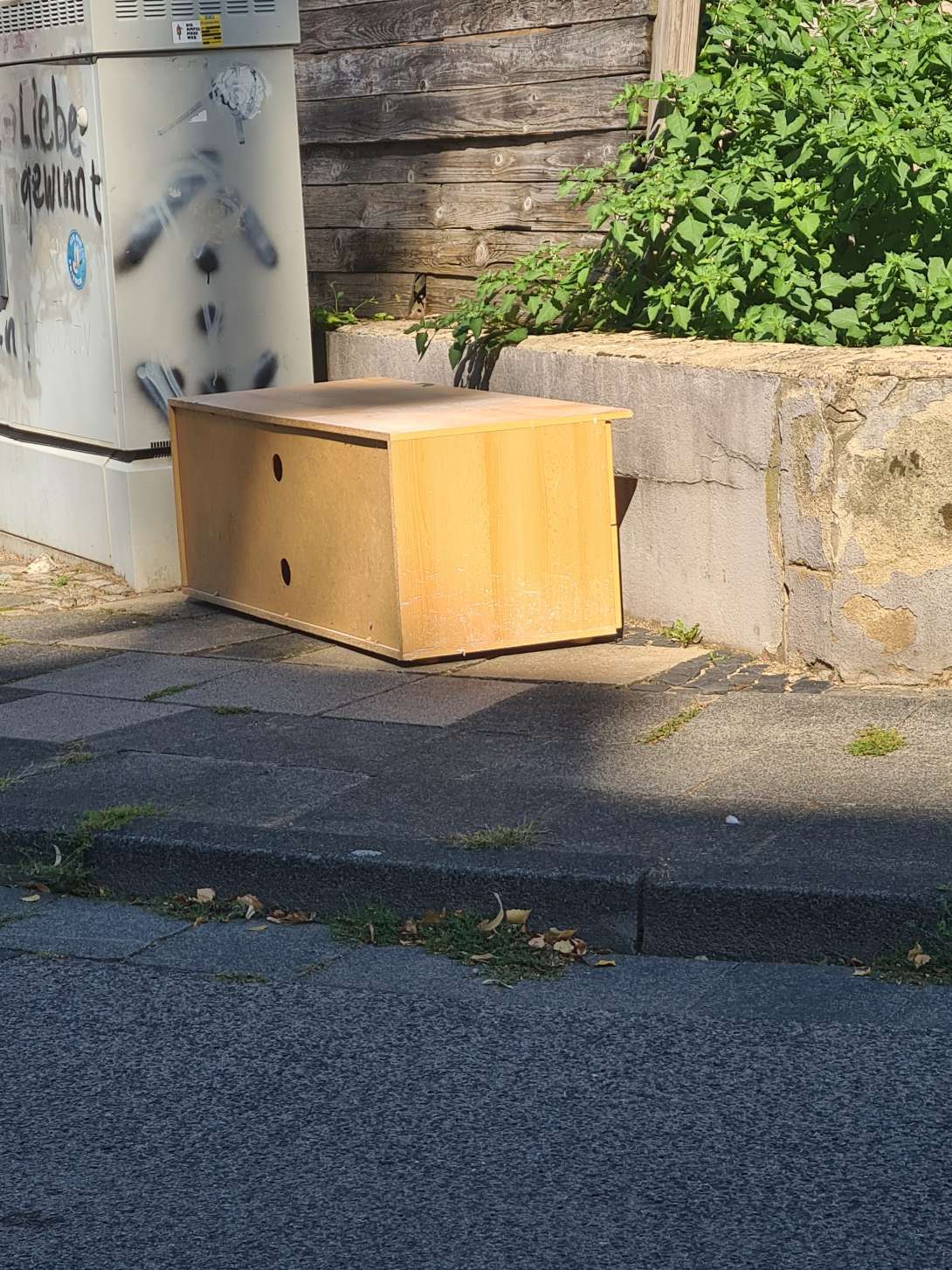 Bild zu gemeldetem Anliegen vom *2025-08-11 12:21:42