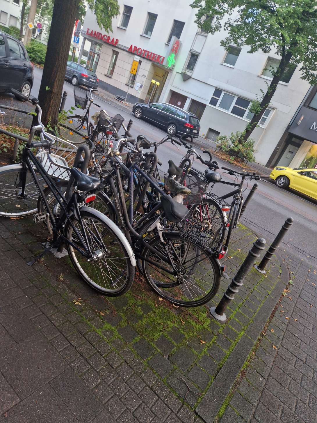 Bild zu gemeldetem Anliegen vom *2025-08-01 06:44:24