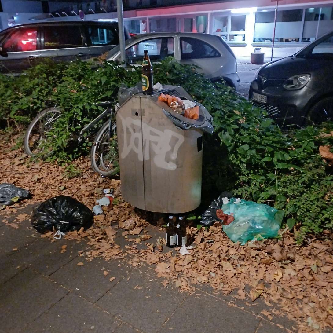 Bild zu gemeldetem Anliegen vom *2025-08-26 10:22:11