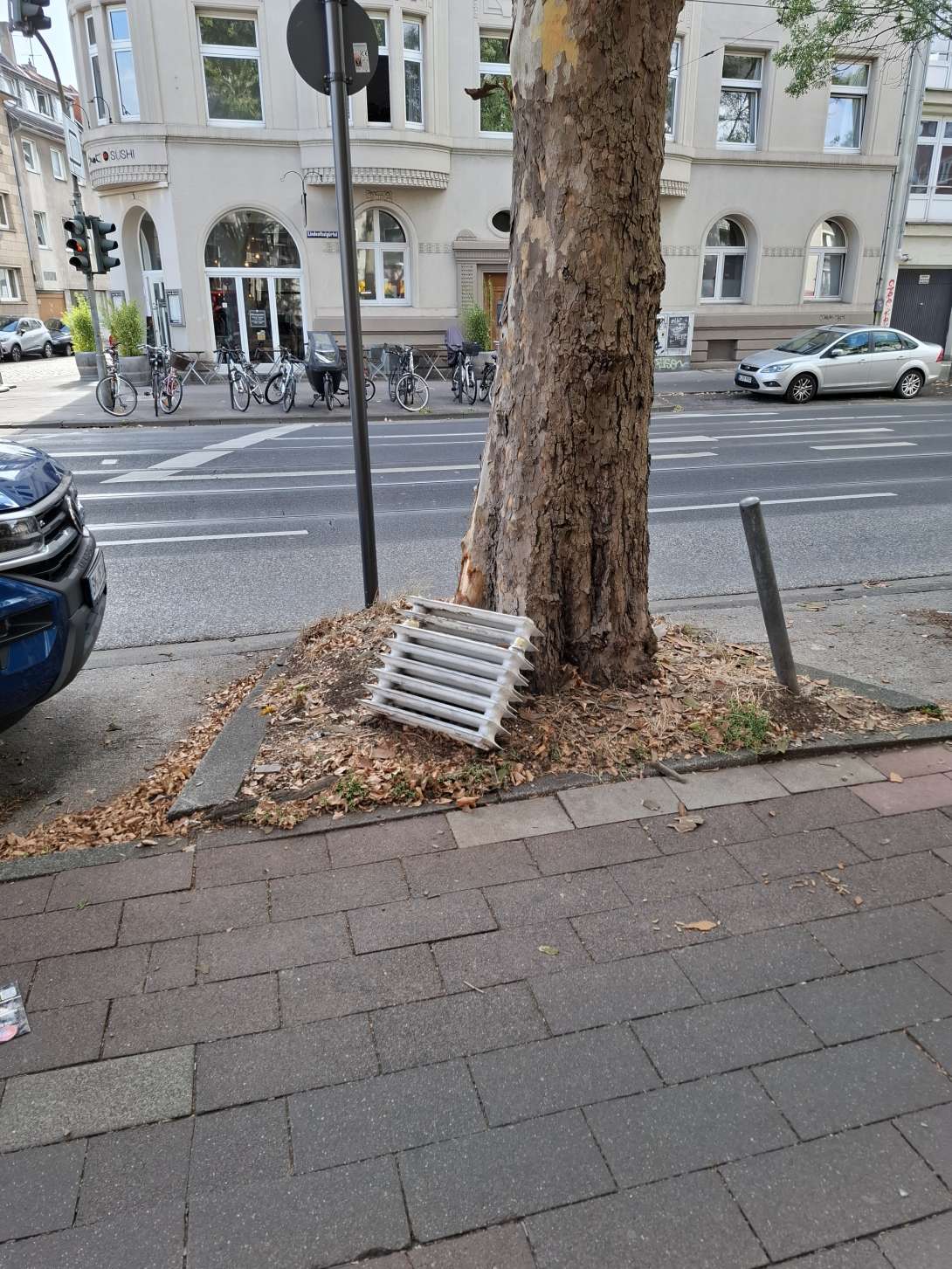 Bild zu gemeldetem Anliegen vom *2025-08-30 15:30:16