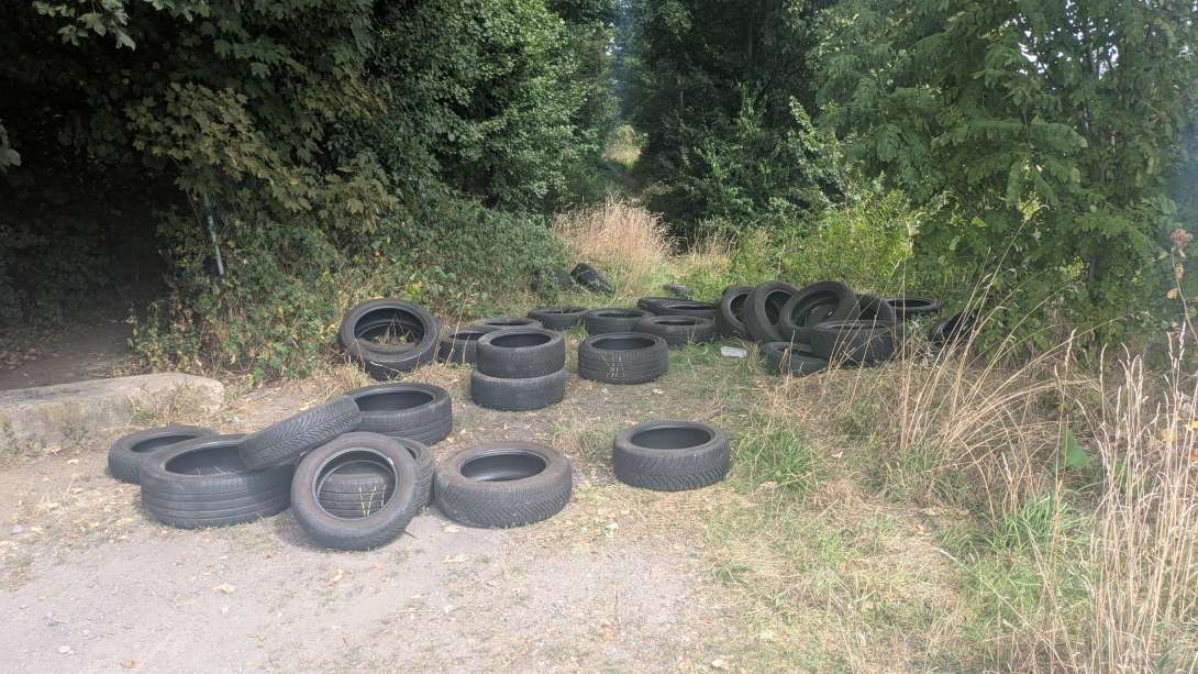 Bild zu gemeldetem Anliegen vom *2025-08-18 13:12:38