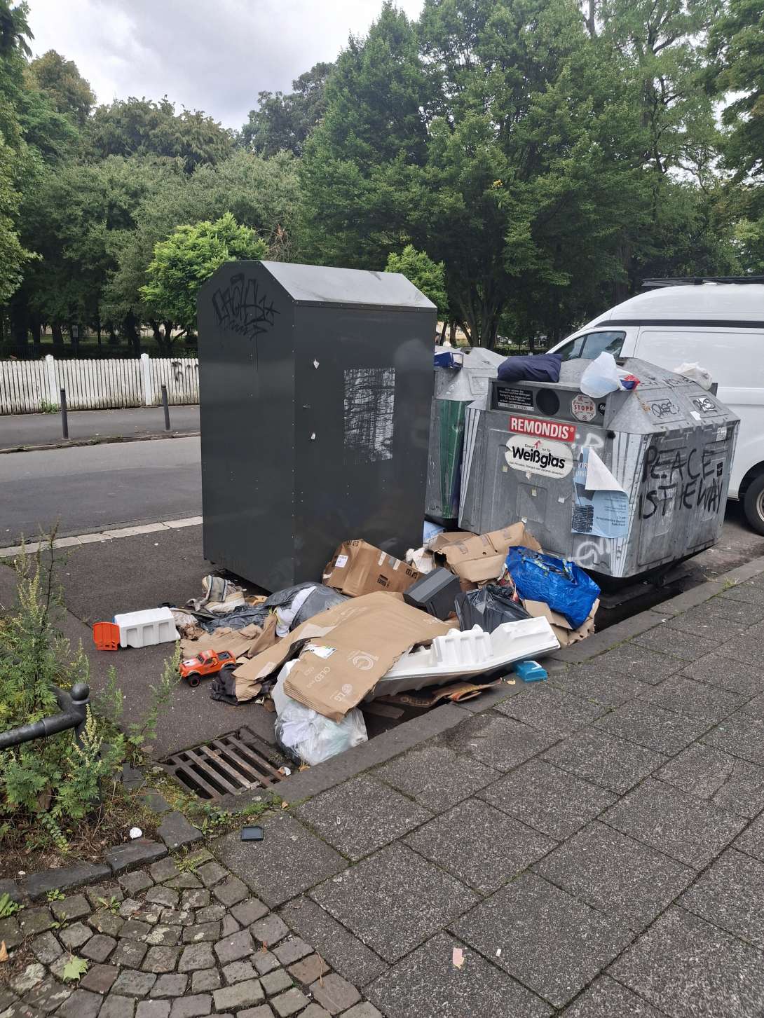 Bild zu gemeldetem Anliegen vom *2025-08-02 17:58:31