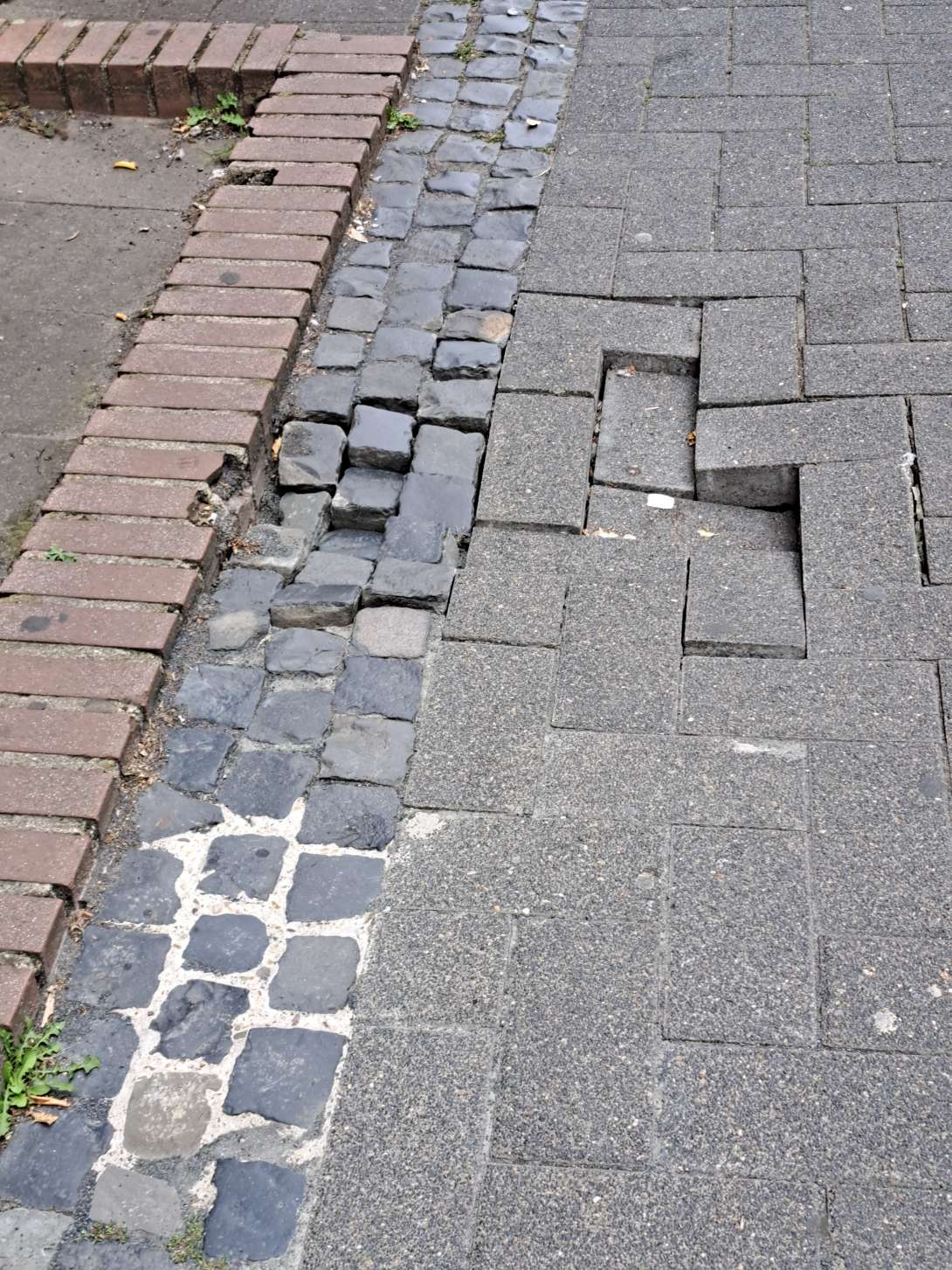 Bild zu gemeldetem Anliegen vom *2025-08-23 07:05:01
