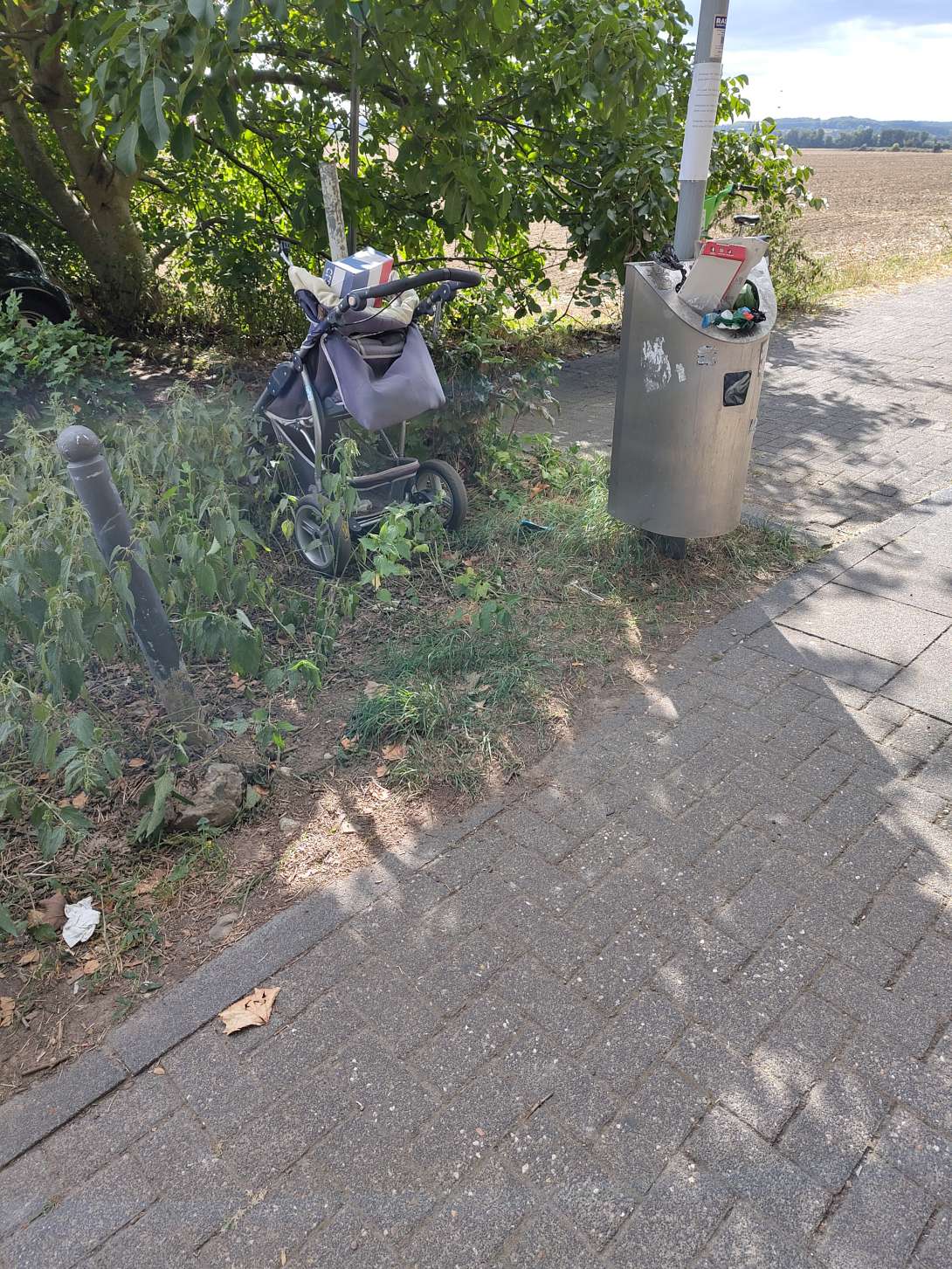 Bild zu gemeldetem Anliegen vom *2025-08-30 16:37:26
