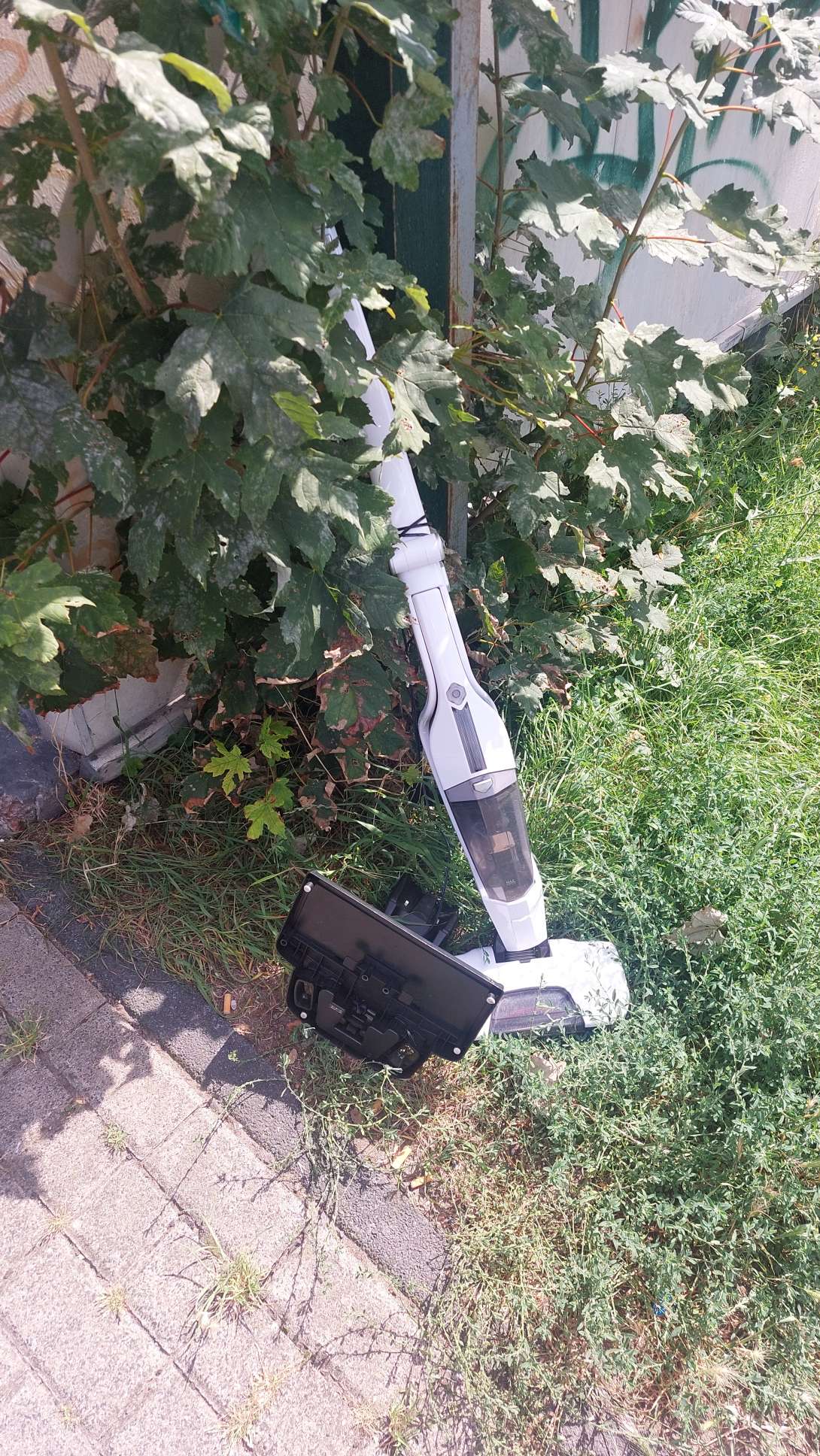 Bild zu gemeldetem Anliegen vom *2025-08-18 13:16:03