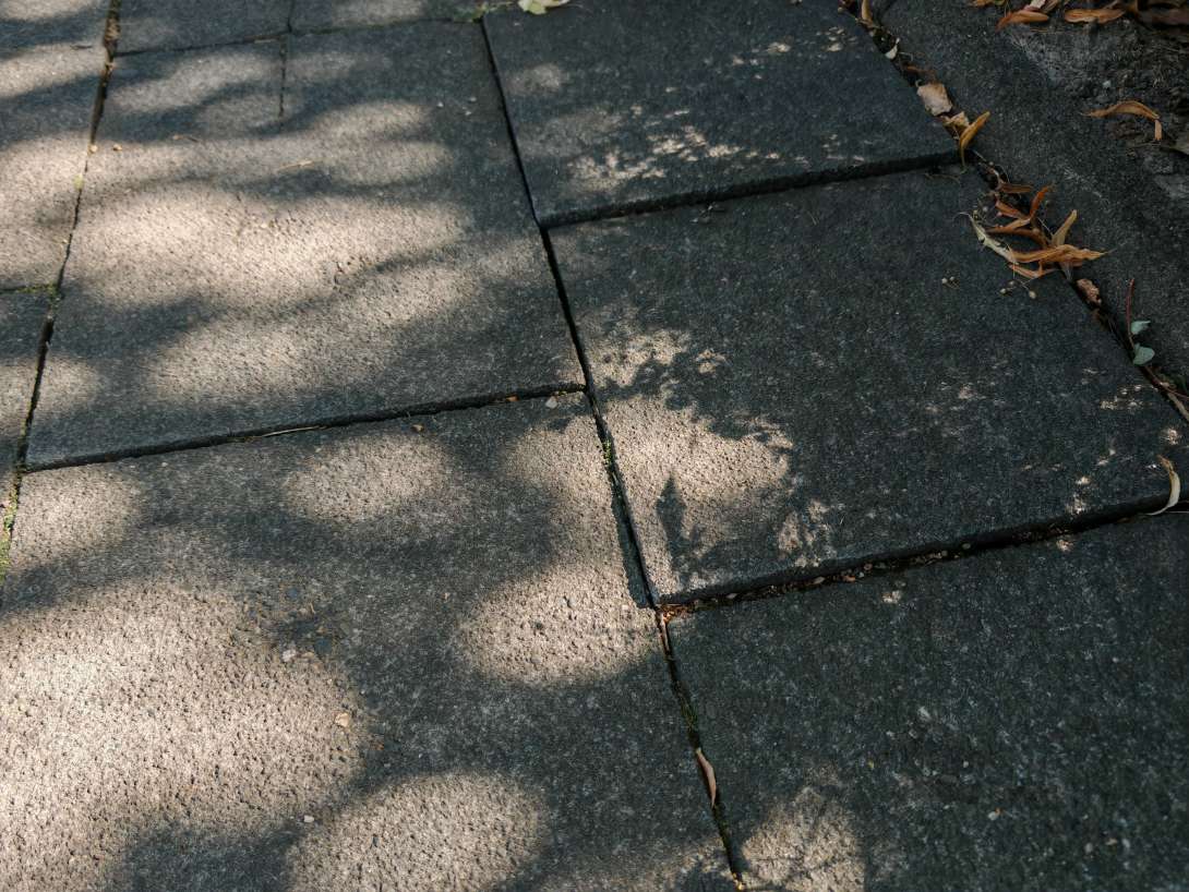 Bild zu gemeldetem Anliegen vom *2025-08-18 10:51:57