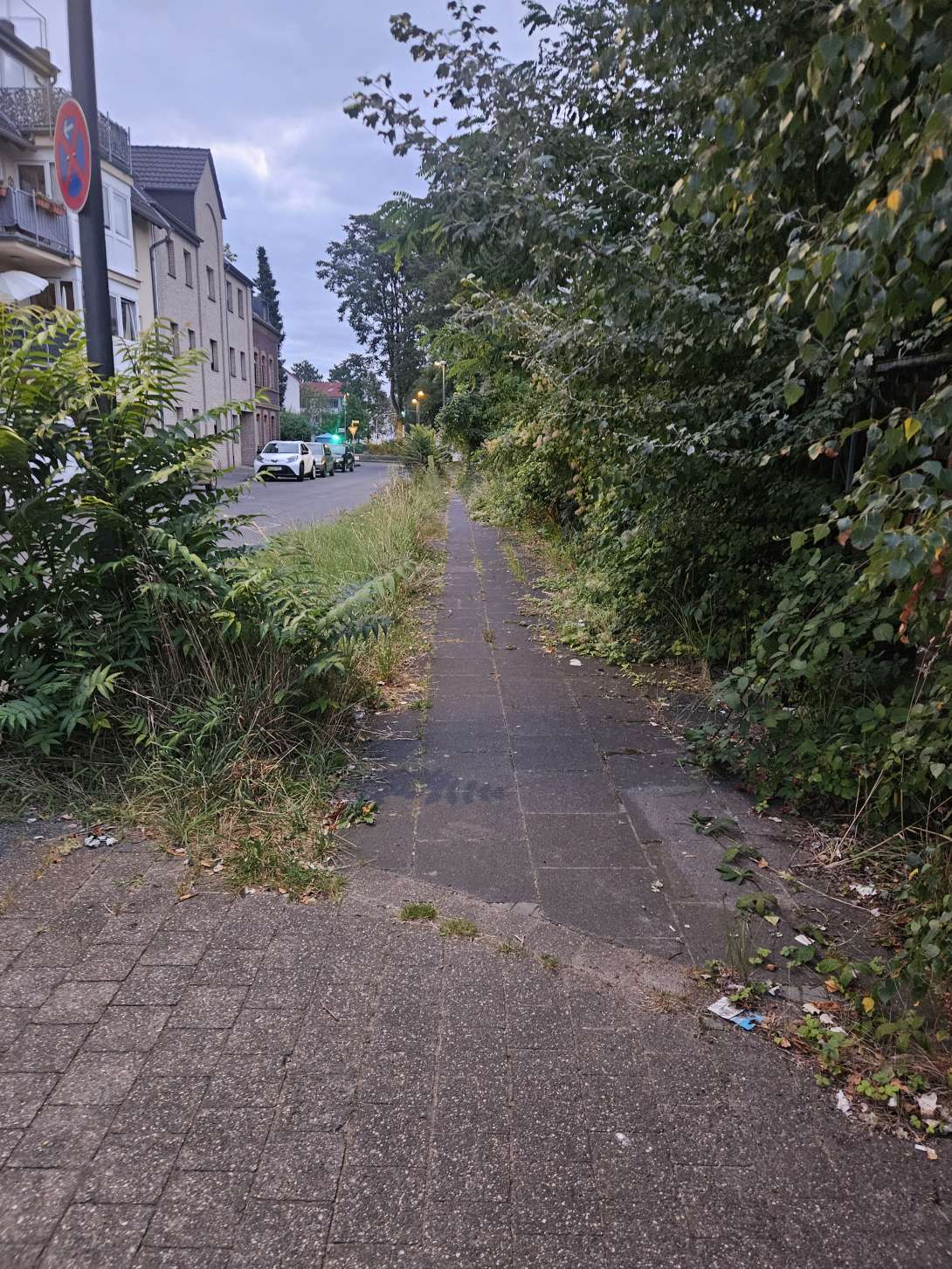 Bild zu gemeldetem Anliegen vom *2025-08-22 06:19:16