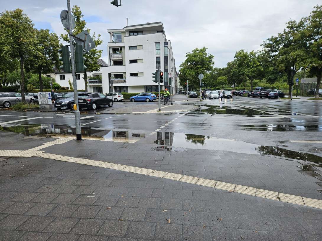Bild zu gemeldetem Anliegen vom *2025-08-01 18:28:15