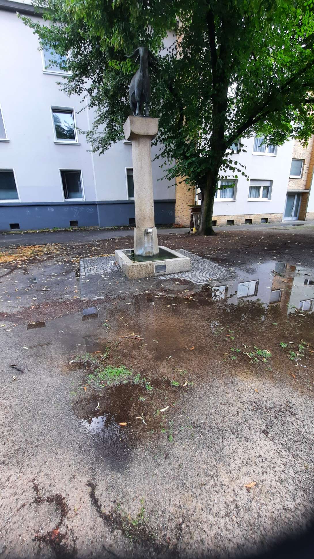 Bild zu gemeldetem Anliegen vom *2025-08-02 19:14:20