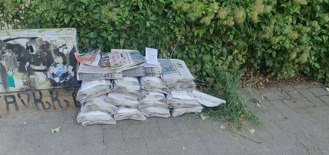 Bild zu gemeldetem Anliegen vom *2025-08-15 17:40:39