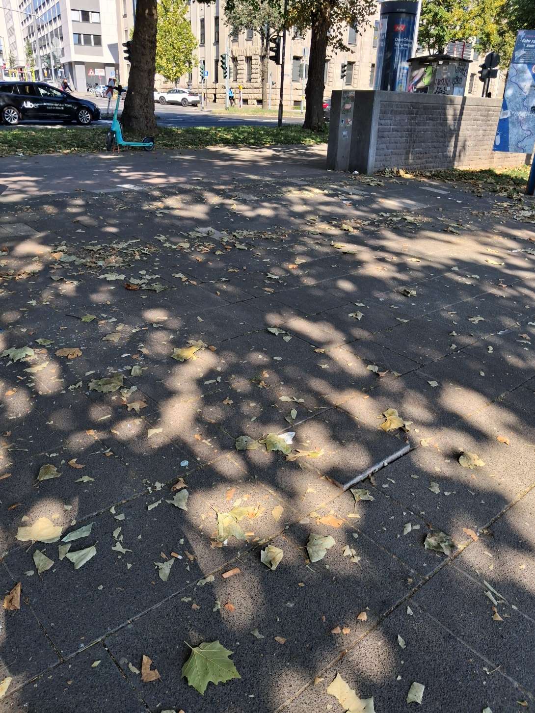 Bild zu gemeldetem Anliegen vom *2025-08-18 10:47:13