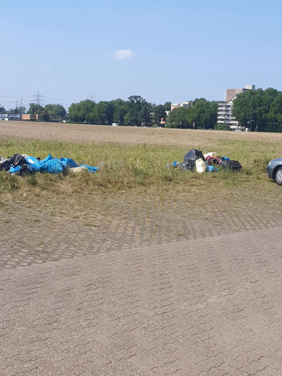 Bild zu gemeldetem Anliegen vom *2025-08-20 19:33:45