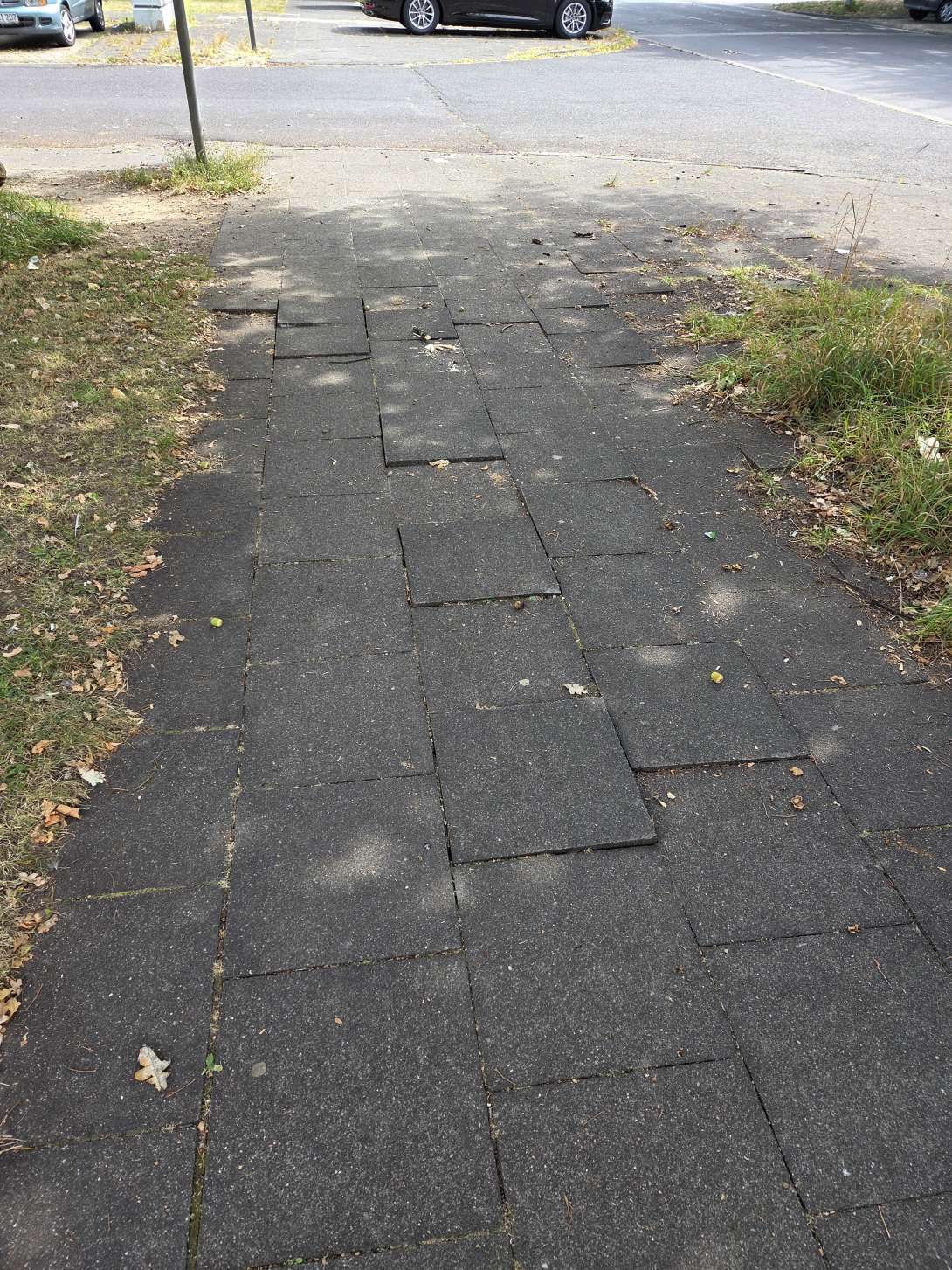 Bild zu gemeldetem Anliegen vom *2025-08-23 13:45:06