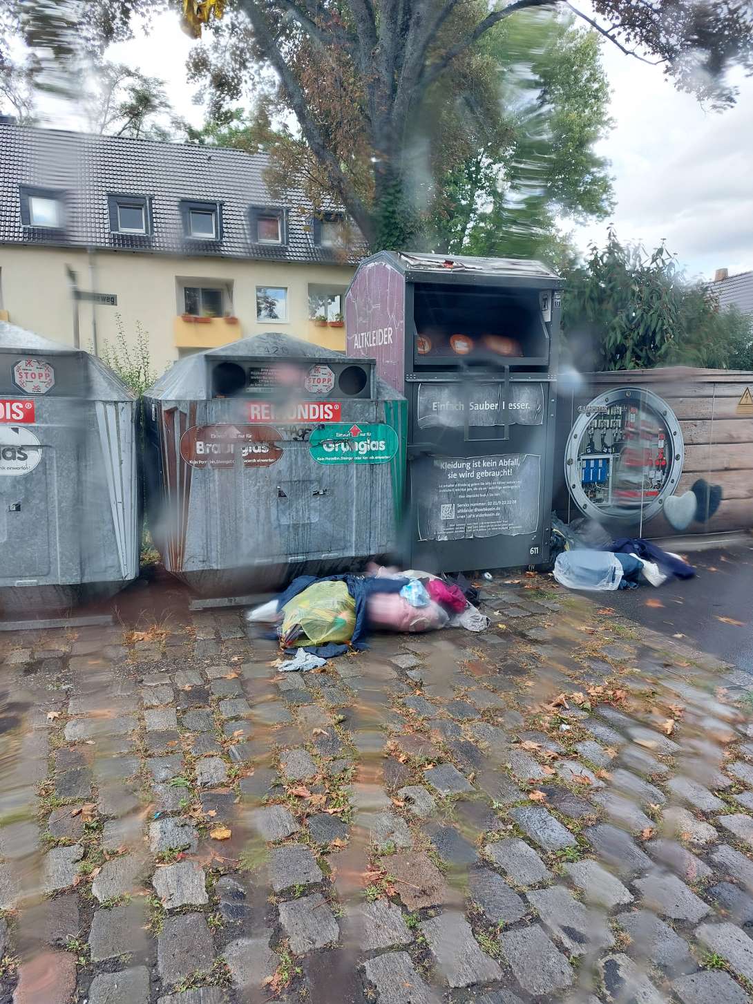 Bild zu gemeldetem Anliegen vom *2025-08-31 09:35:38