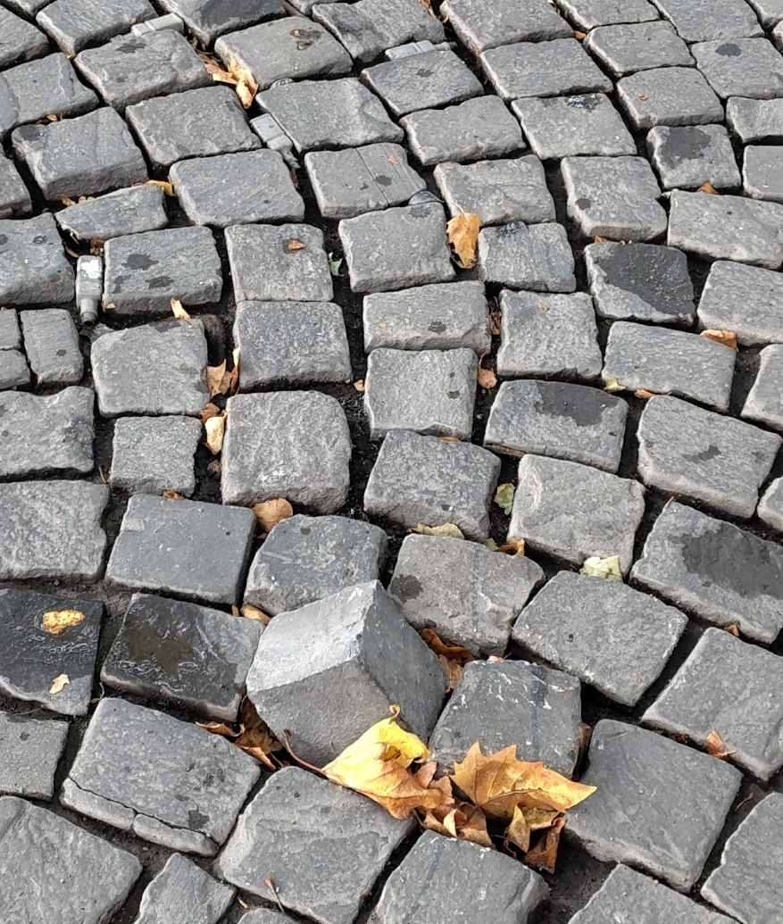 Bild zu gemeldetem Anliegen vom *2025-08-28 07:36:48