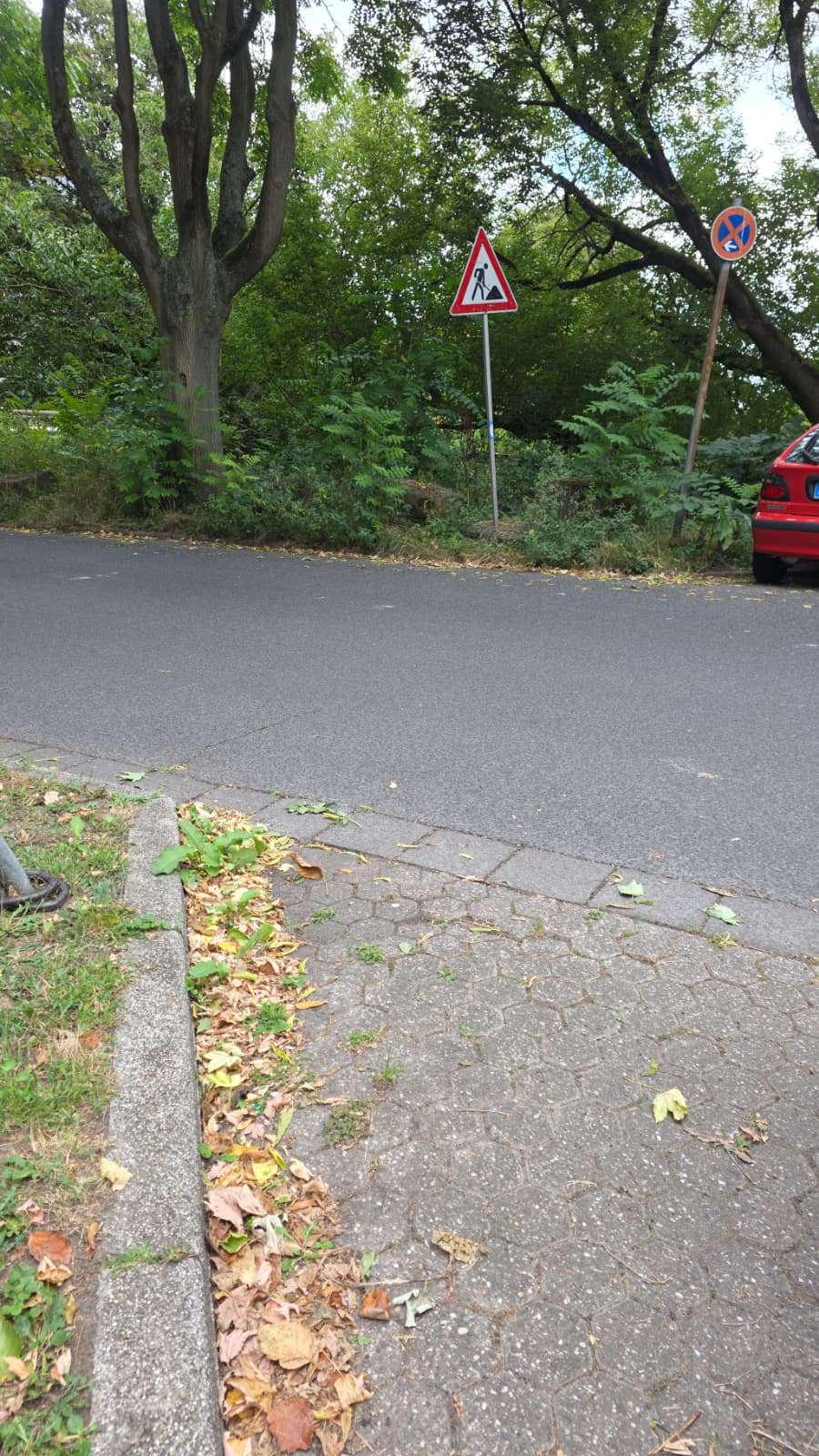 Bild zu gemeldetem Anliegen vom *2025-08-29 20:12:43