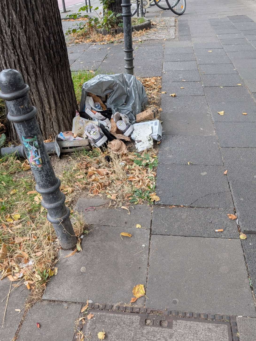 Bild zu gemeldetem Anliegen vom *2025-08-18 09:50:12