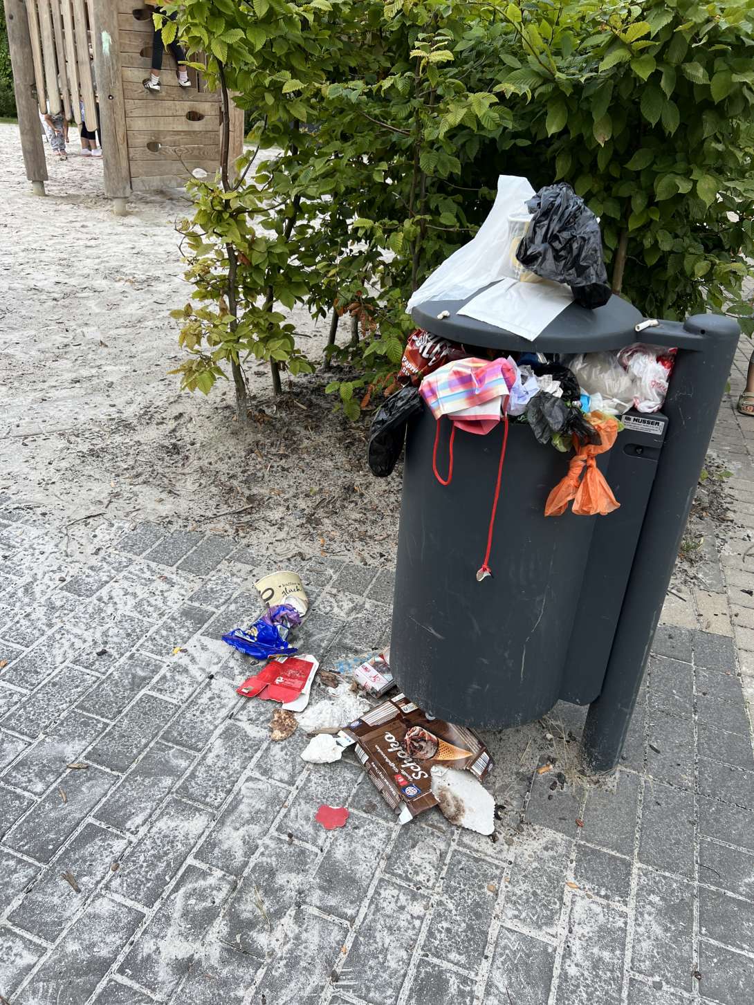 Bild zu gemeldetem Anliegen vom *2025-08-02 18:31:16