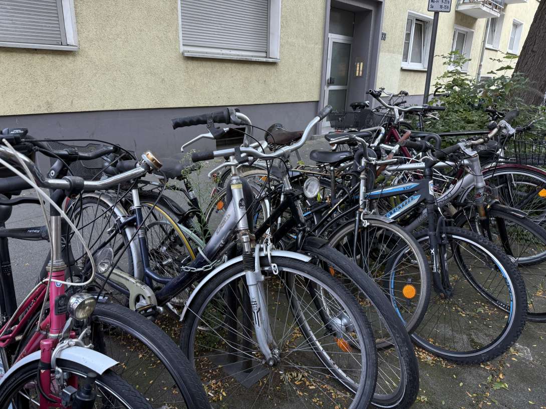 Bild zu gemeldetem Anliegen vom *2025-08-18 09:27:43