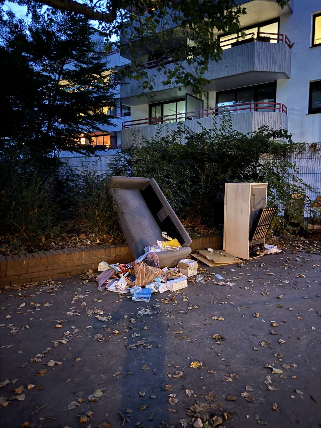 Bild zu gemeldetem Anliegen vom *2025-08-31 21:31:59