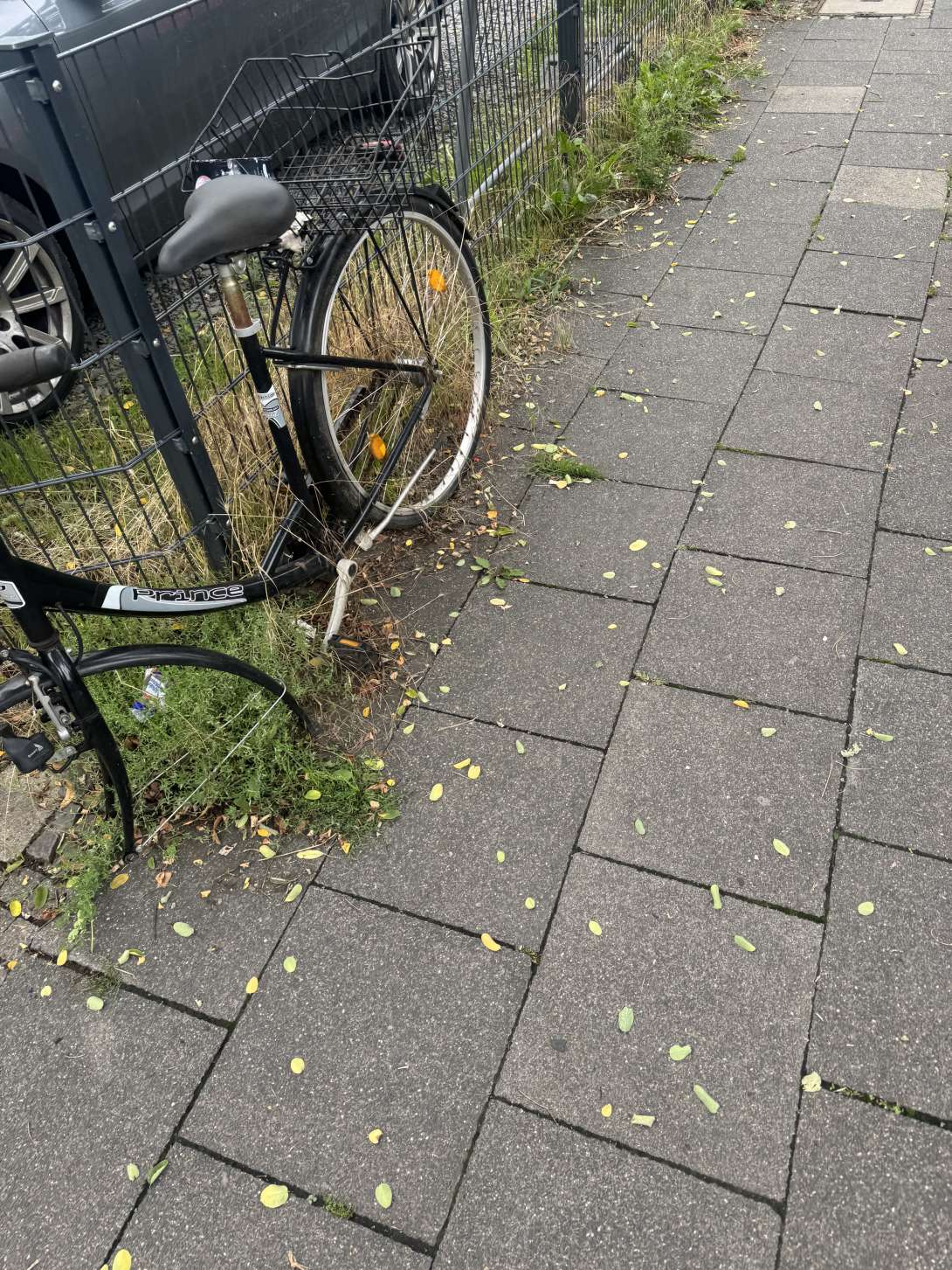 Bild zu gemeldetem Anliegen vom *2025-08-04 21:49:21