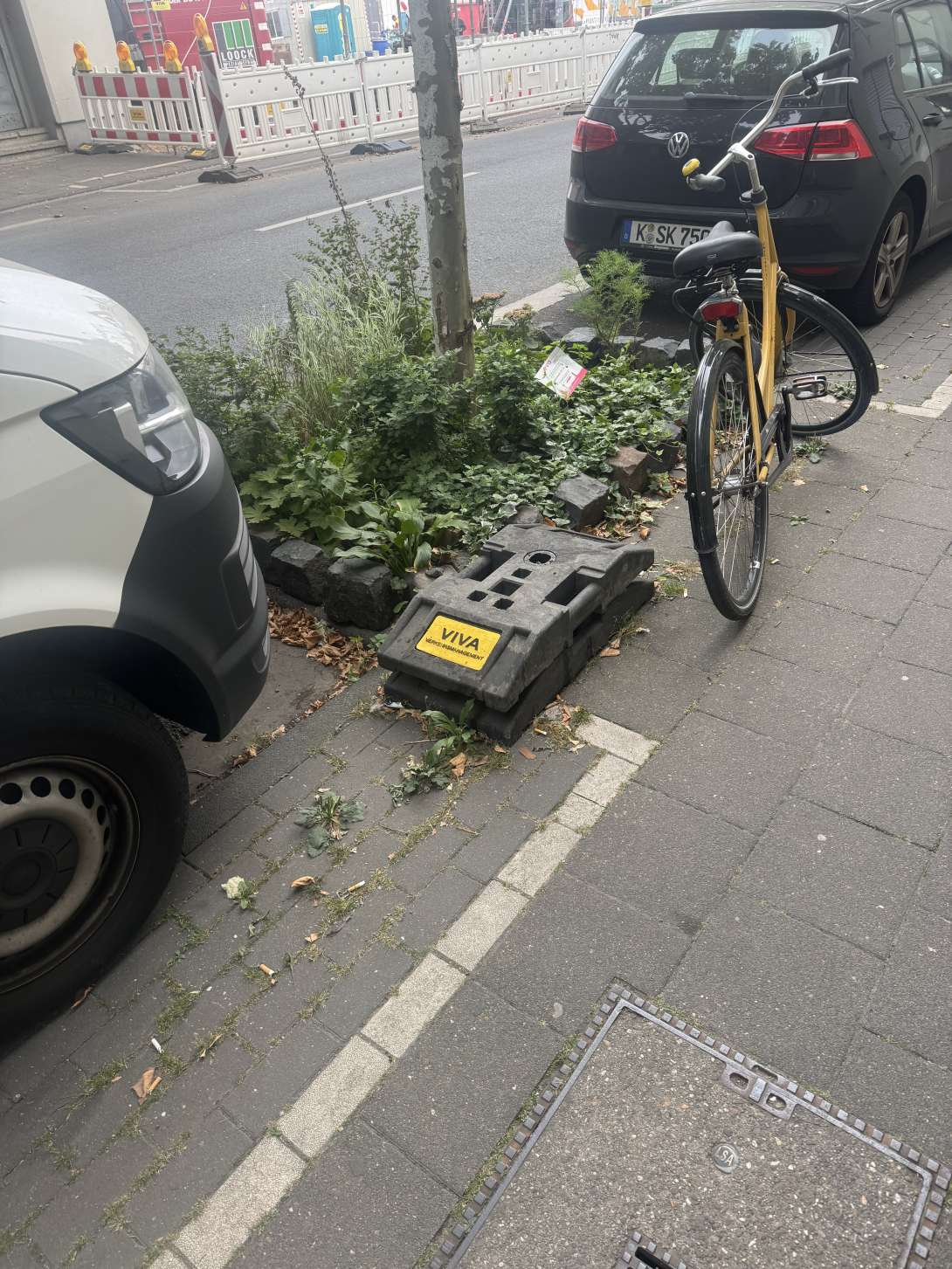 Bild zu gemeldetem Anliegen vom *2025-08-21 08:02:51