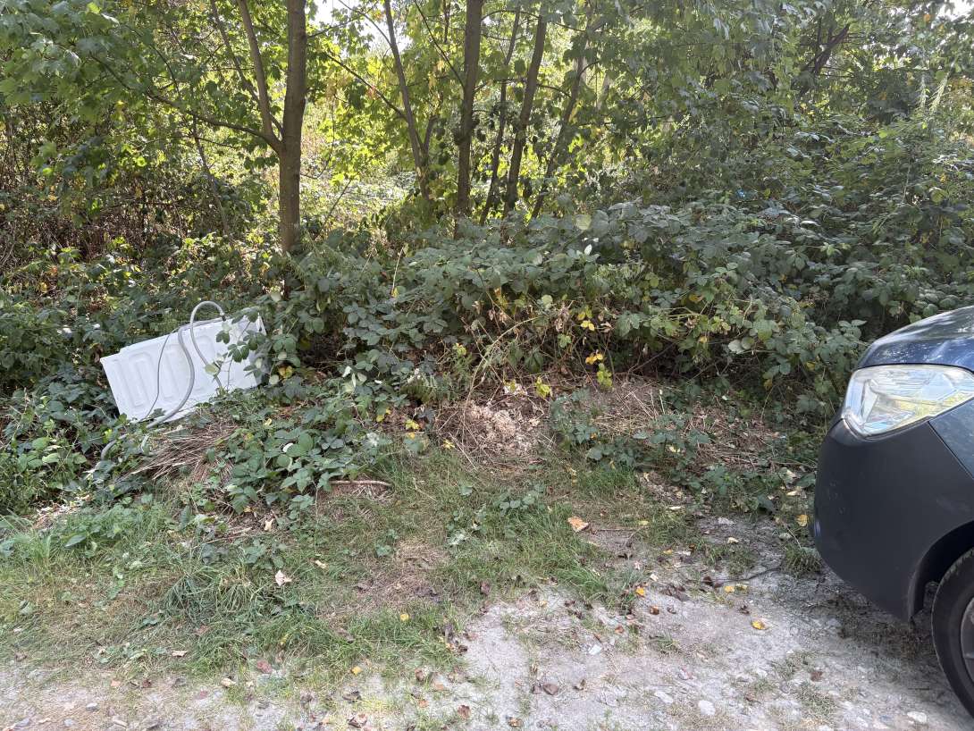 Bild zu gemeldetem Anliegen vom *2025-08-25 11:37:31