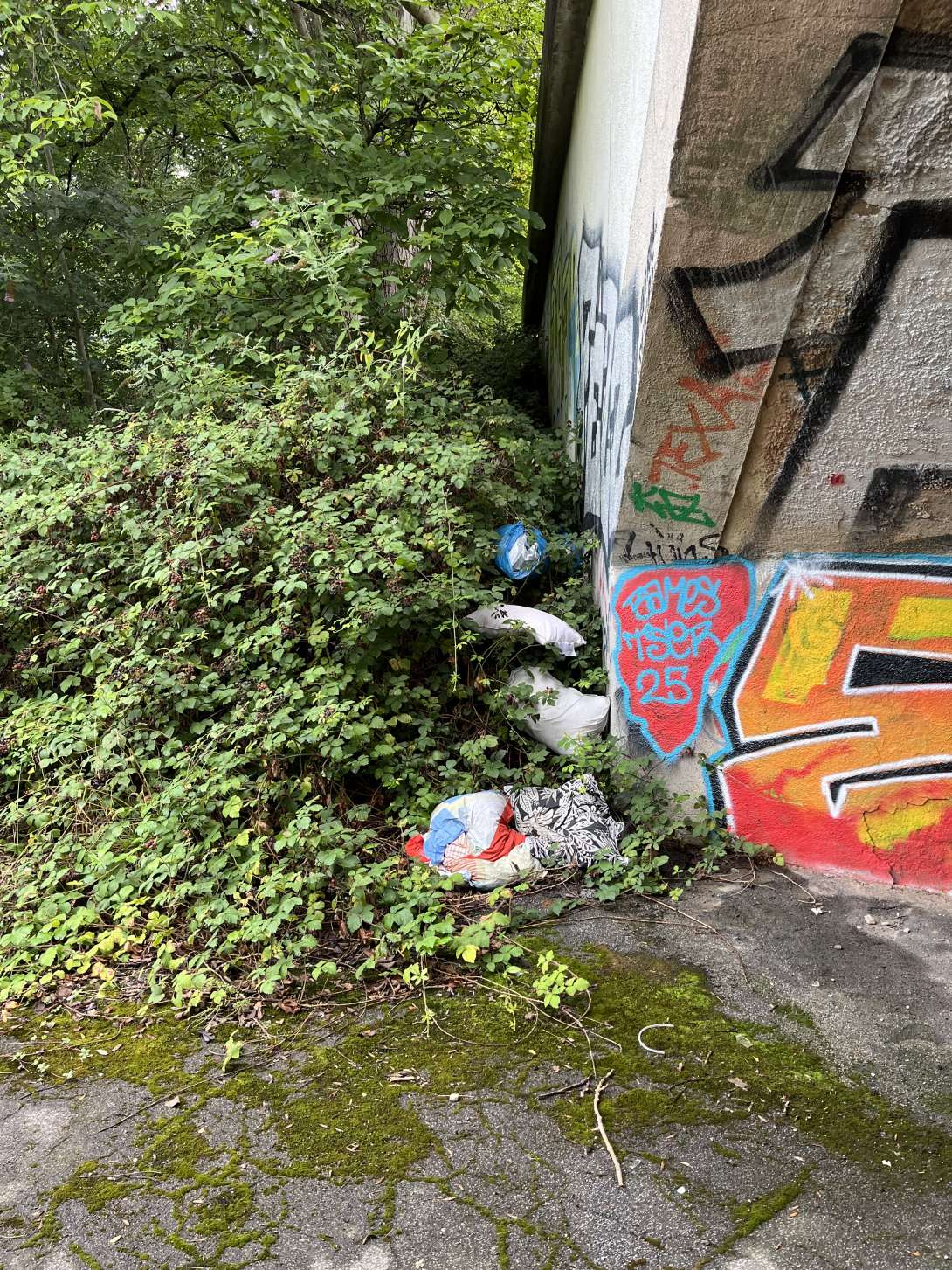 Bild zu gemeldetem Anliegen vom *2025-08-01 09:06:27