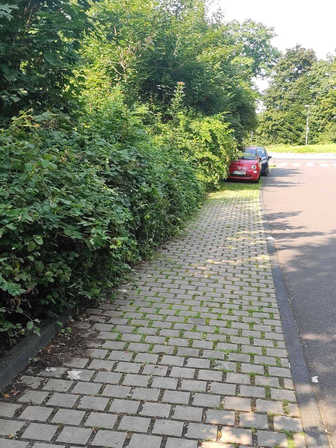 Bild zu gemeldetem Anliegen vom *2025-08-20 14:50:34