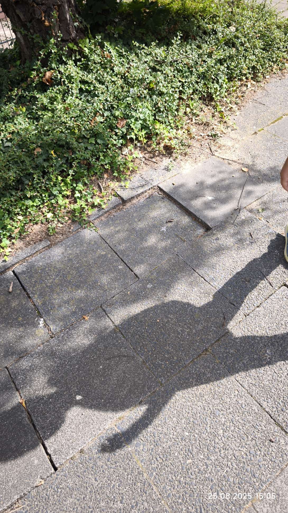 Bild zu gemeldetem Anliegen vom *2025-08-25 15:45:37
