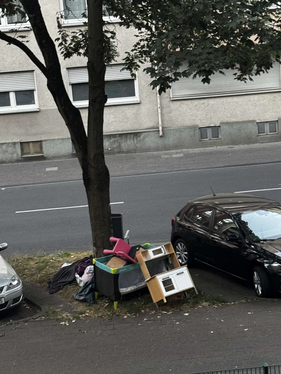 Bild zu gemeldetem Anliegen vom *2025-08-26 09:37:38