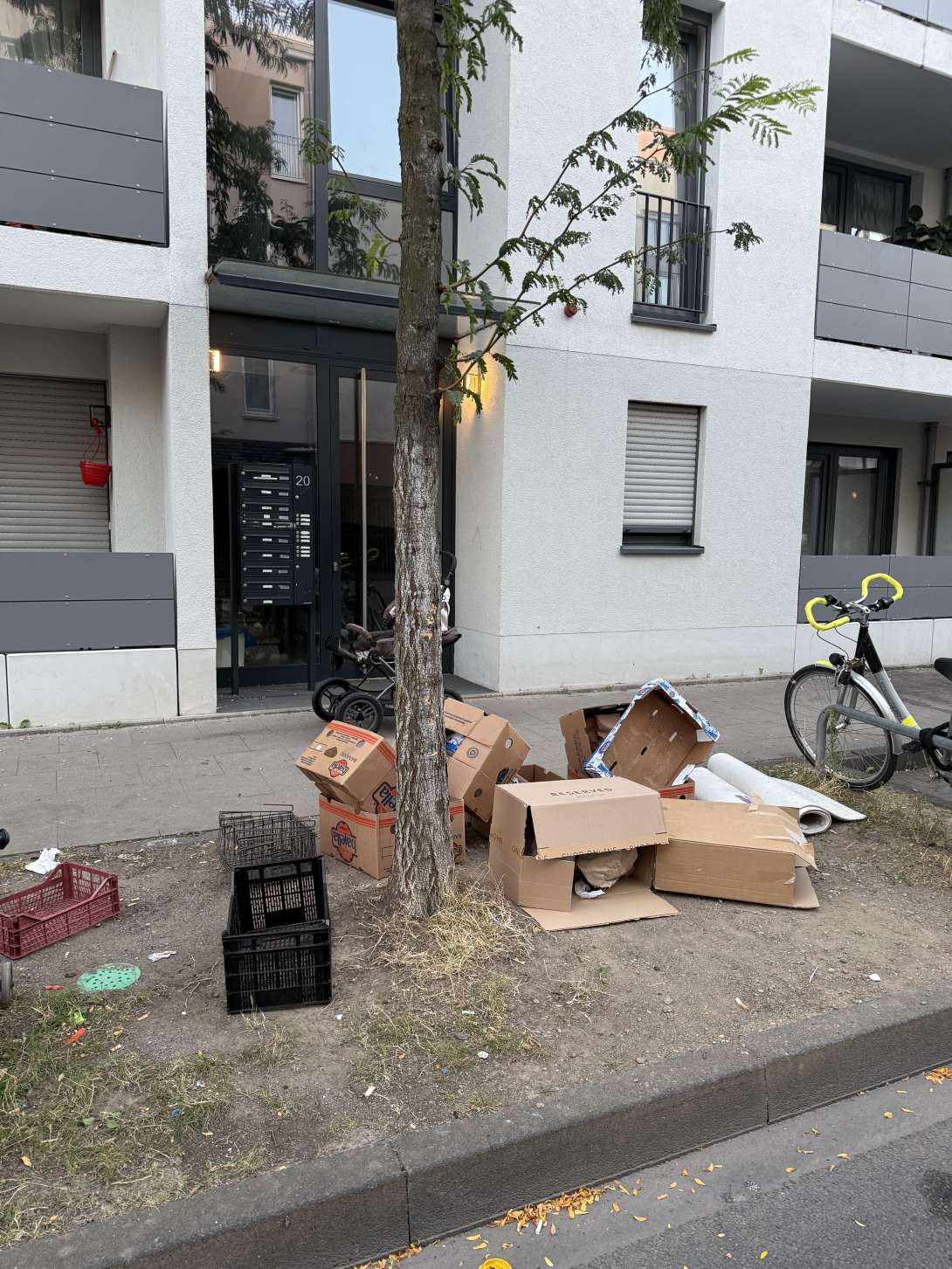 Bild zu gemeldetem Anliegen vom *2025-08-18 15:21:59