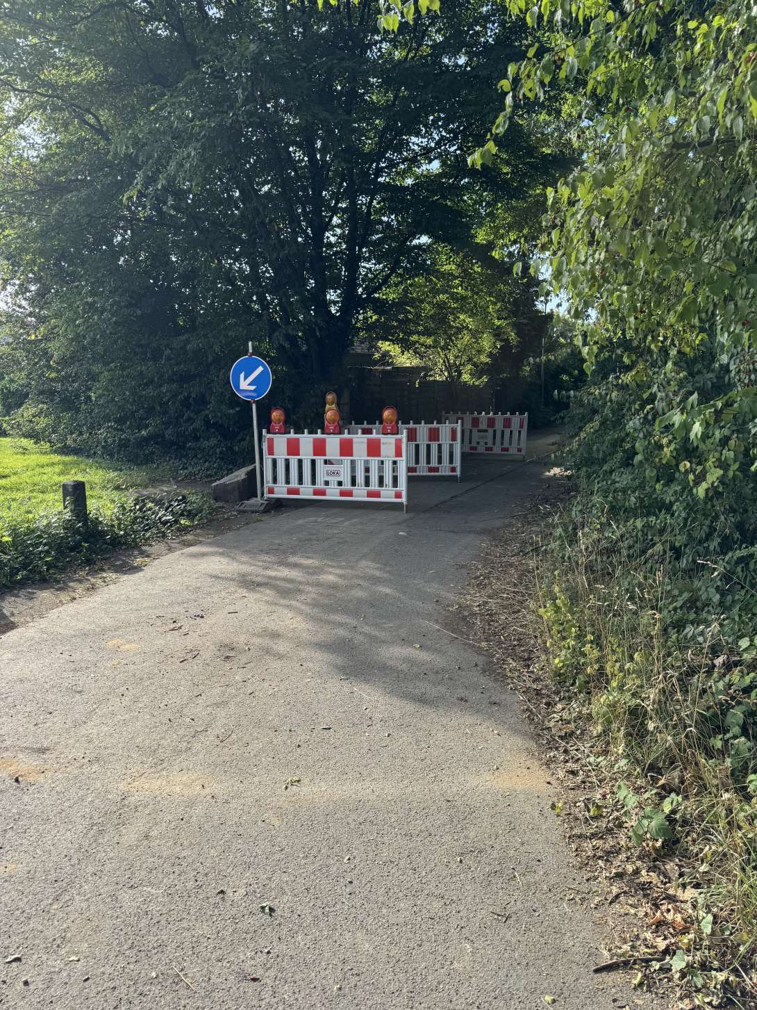 Bild zu gemeldetem Anliegen vom *2025-08-18 07:36:49