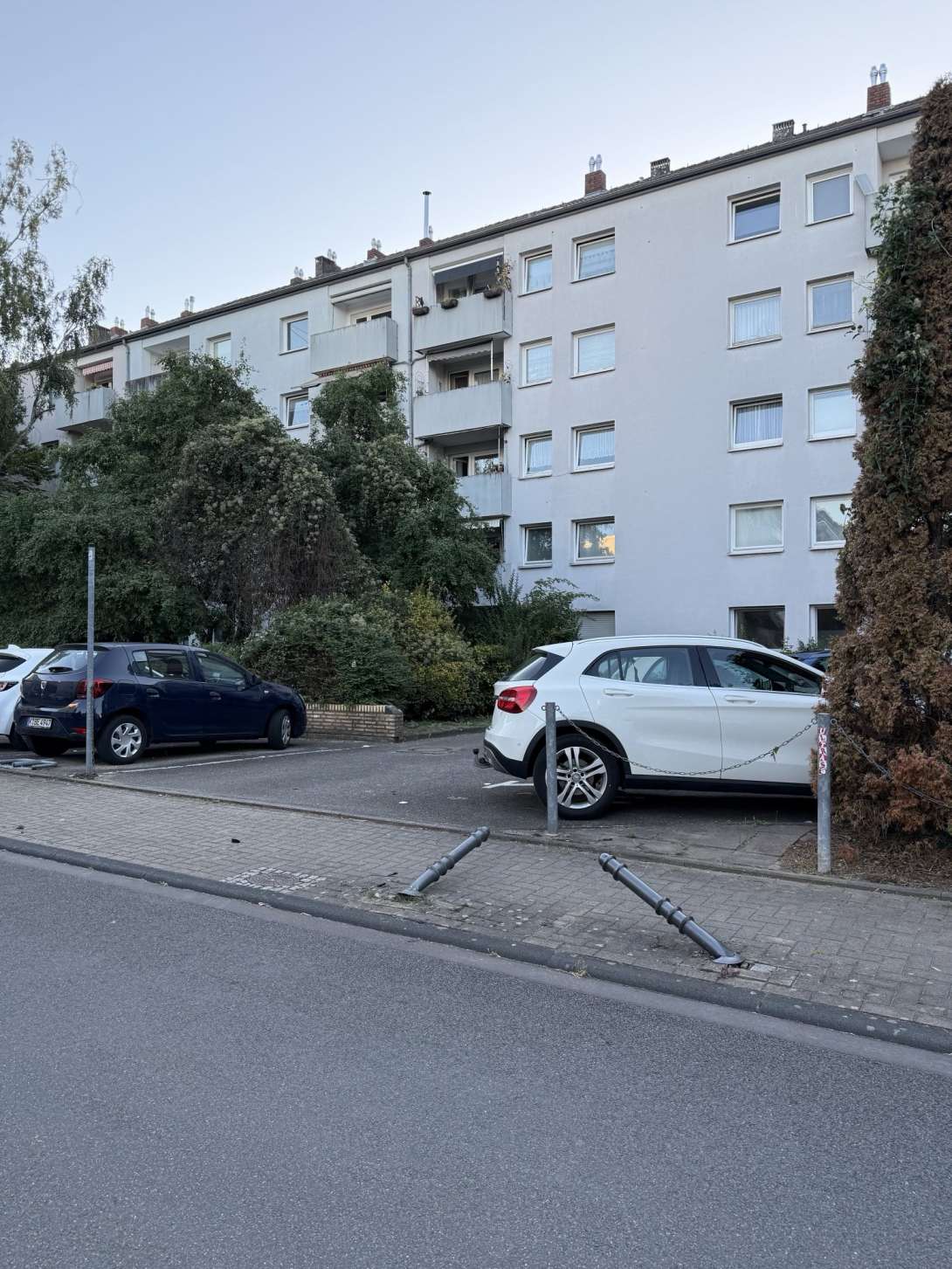 Bild zu gemeldetem Anliegen vom *2025-08-19 23:39:47