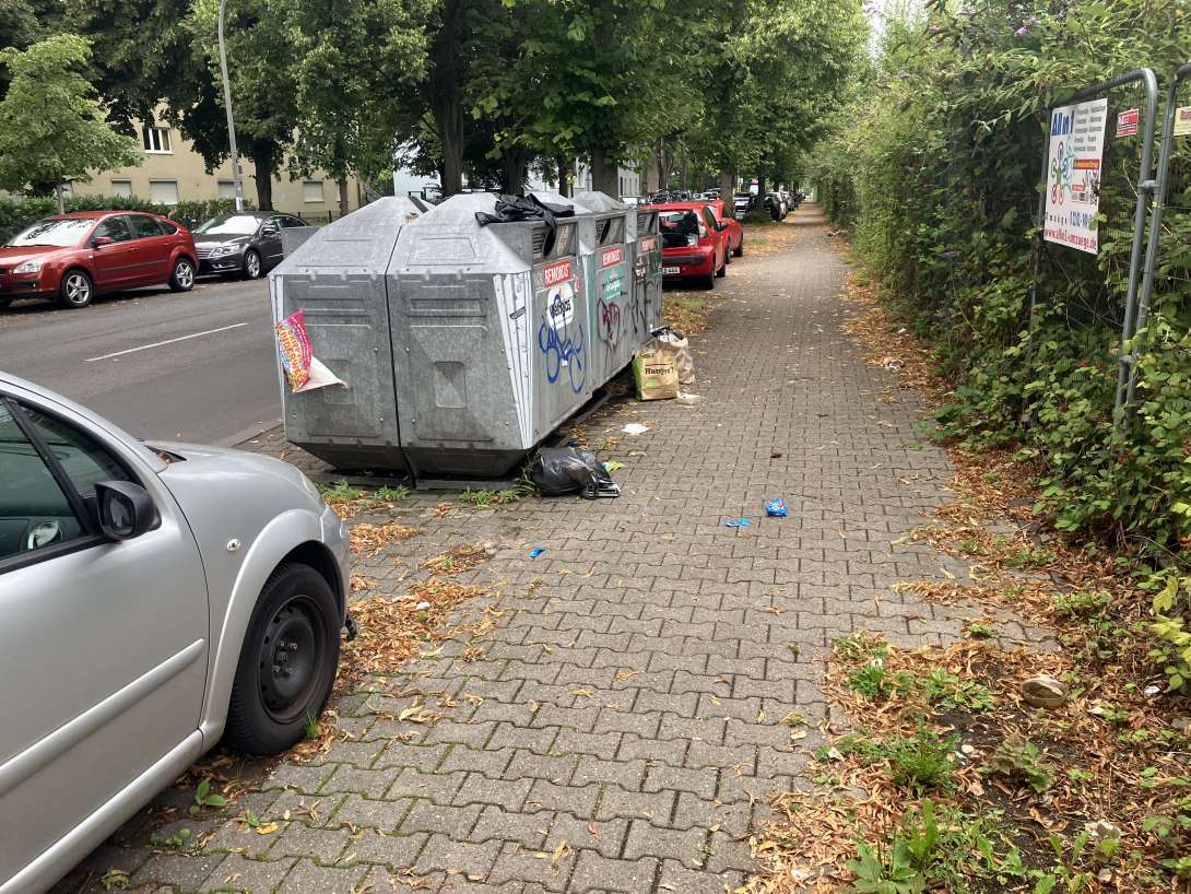 Bild zu gemeldetem Anliegen vom *2025-08-02 09:33:49