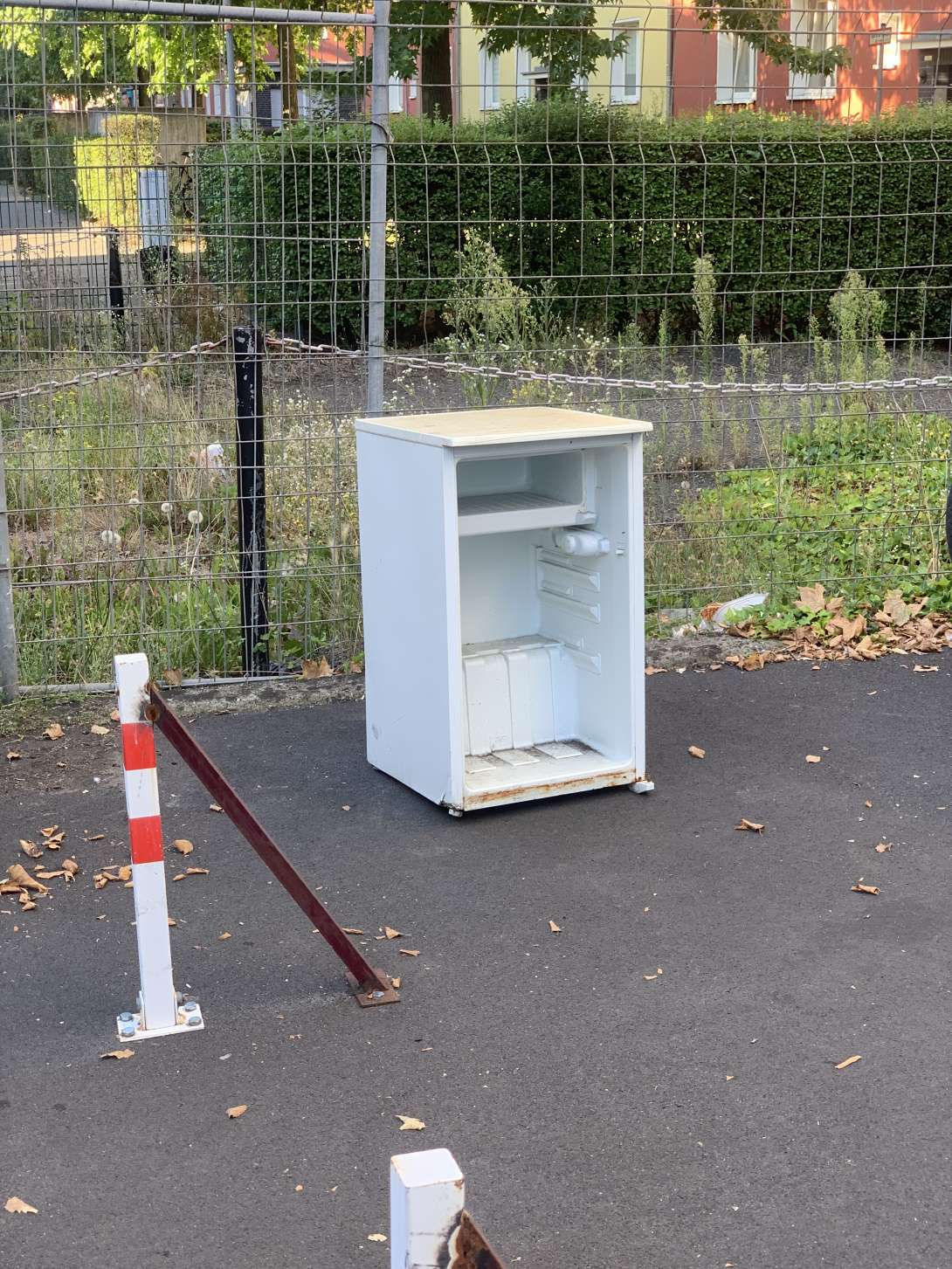 Bild zu gemeldetem Anliegen vom *2025-08-21 14:15:52