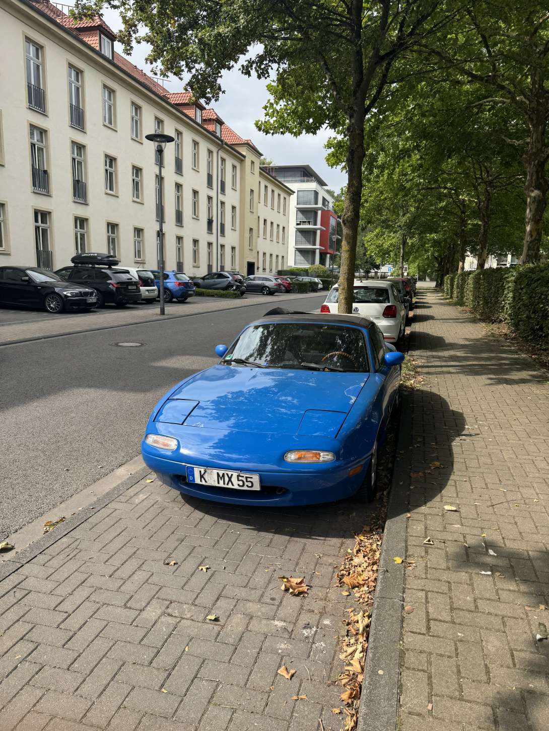 Bild zu gemeldetem Anliegen vom *2025-08-17 15:32:16