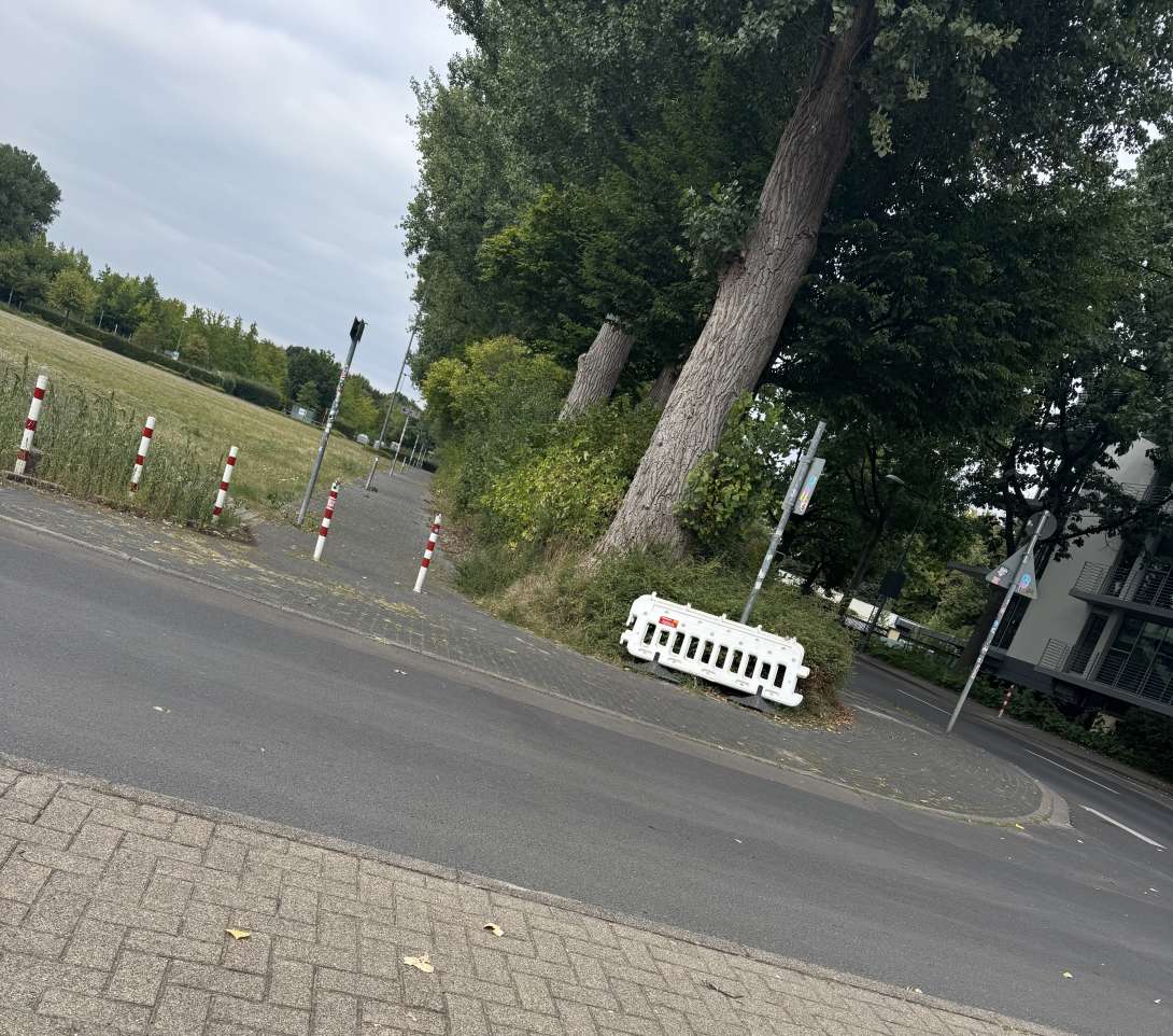 Bild zu gemeldetem Anliegen vom *2025-08-18 07:38:41