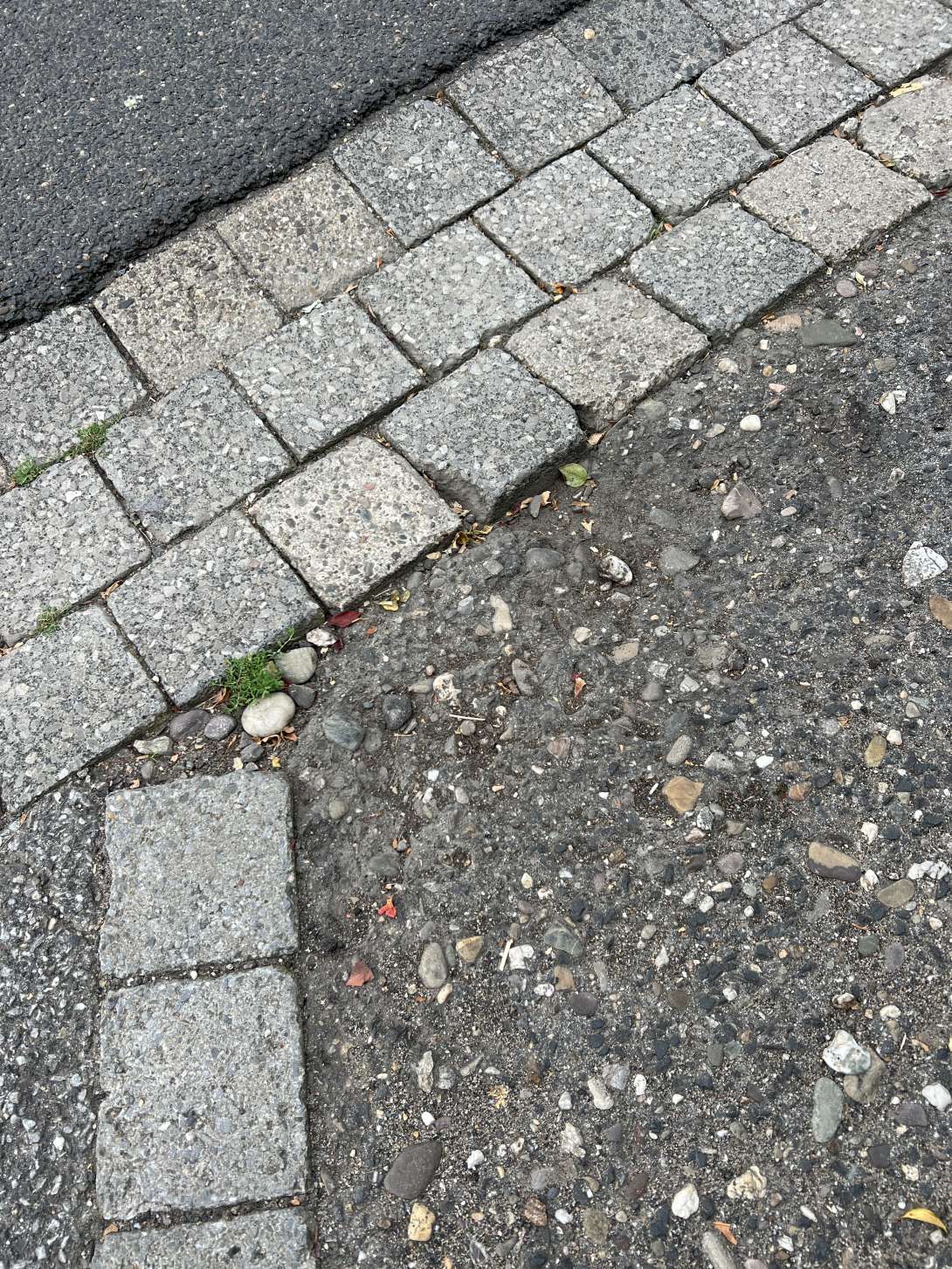 Bild zu gemeldetem Anliegen vom *2025-08-27 10:59:28
