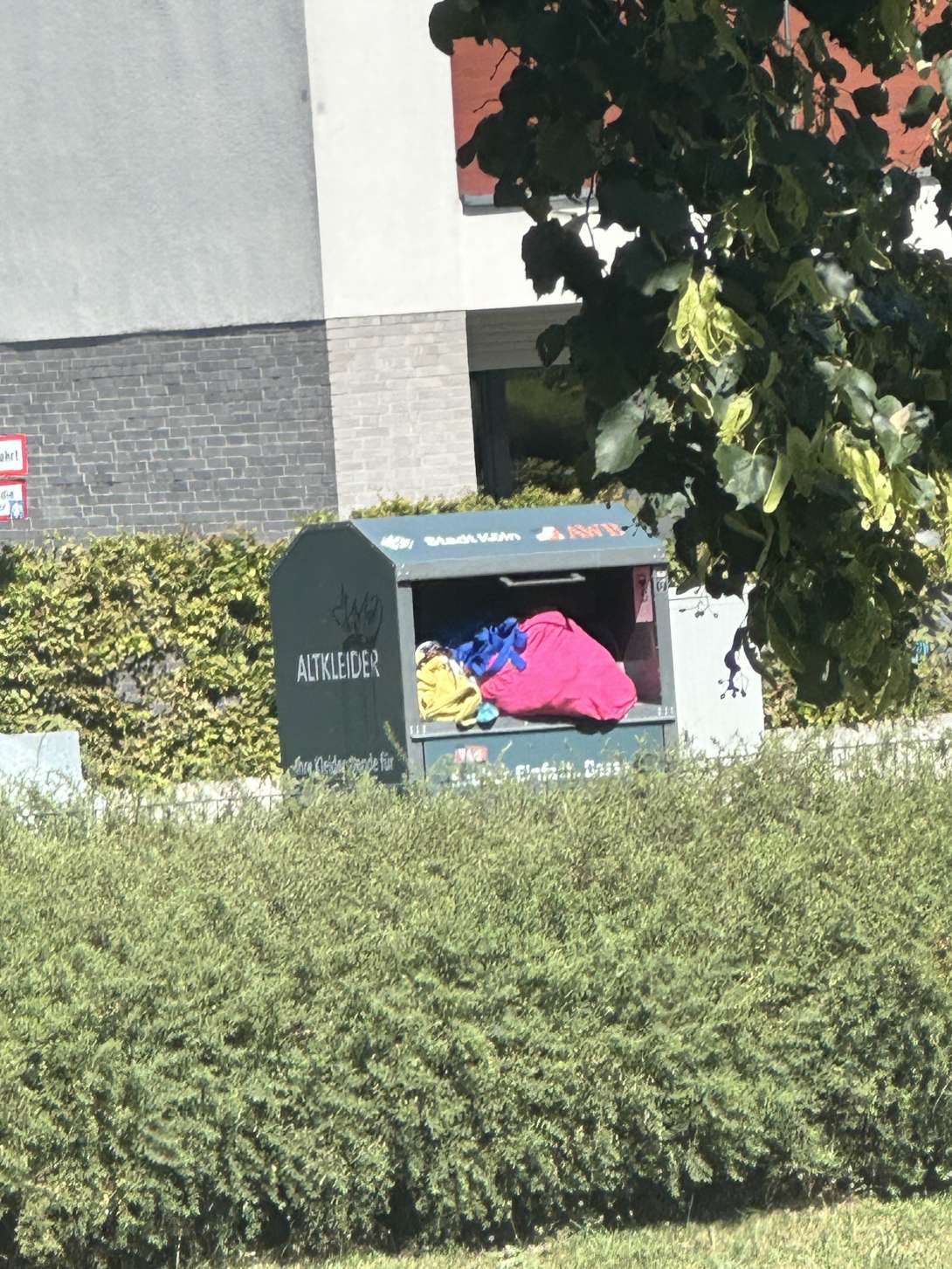 Bild zu gemeldetem Anliegen vom *2025-08-18 14:55:36